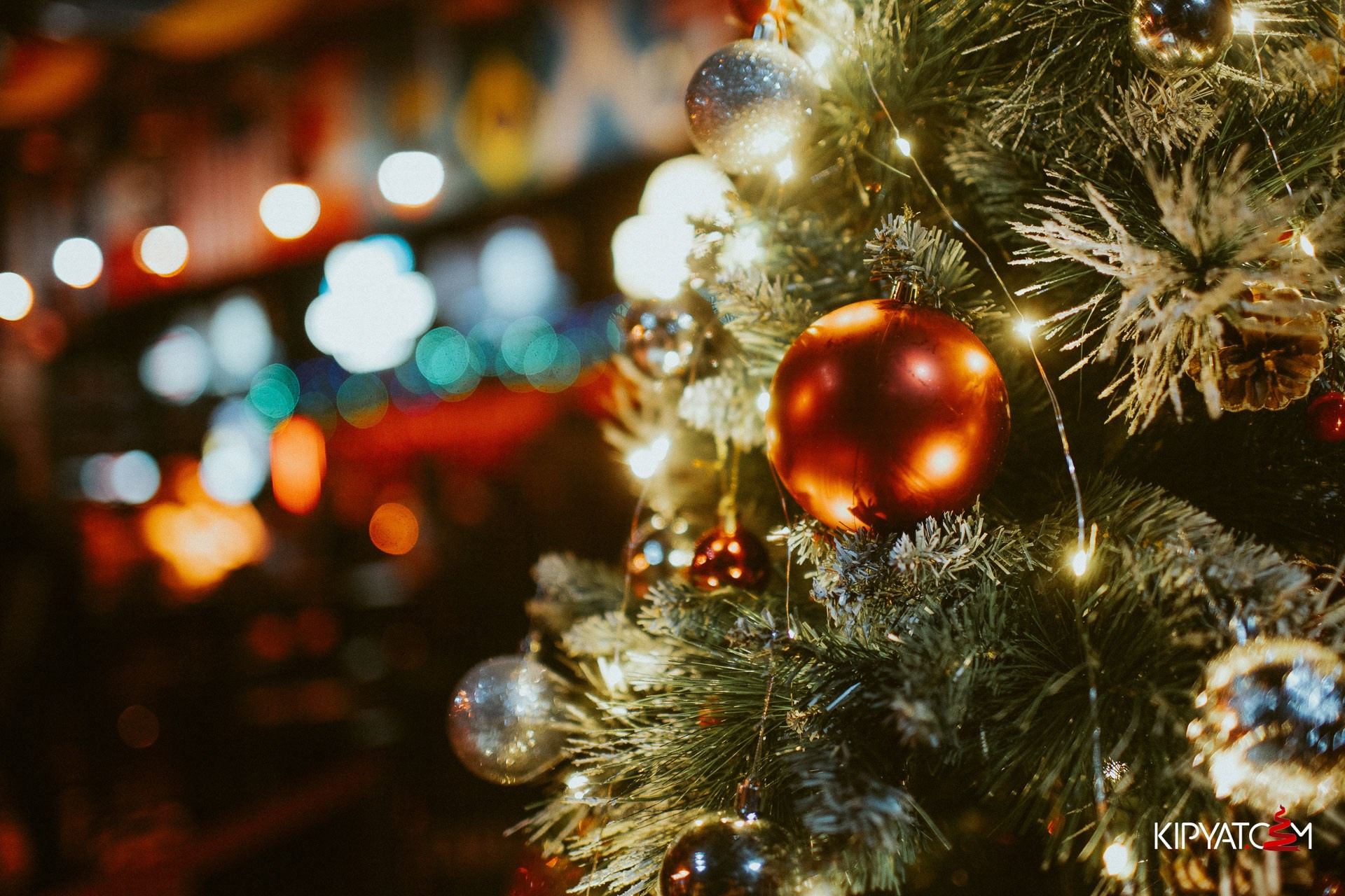 The Bus. Астана Кипятком