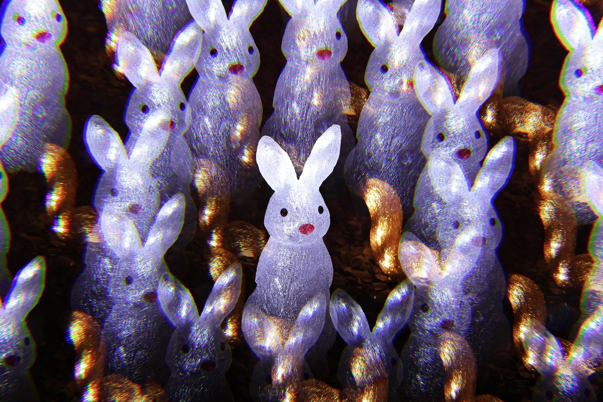 «Кристаллический фильтр» KANI. Фотограф — видеограф в Москве Дмитрий Менделеев