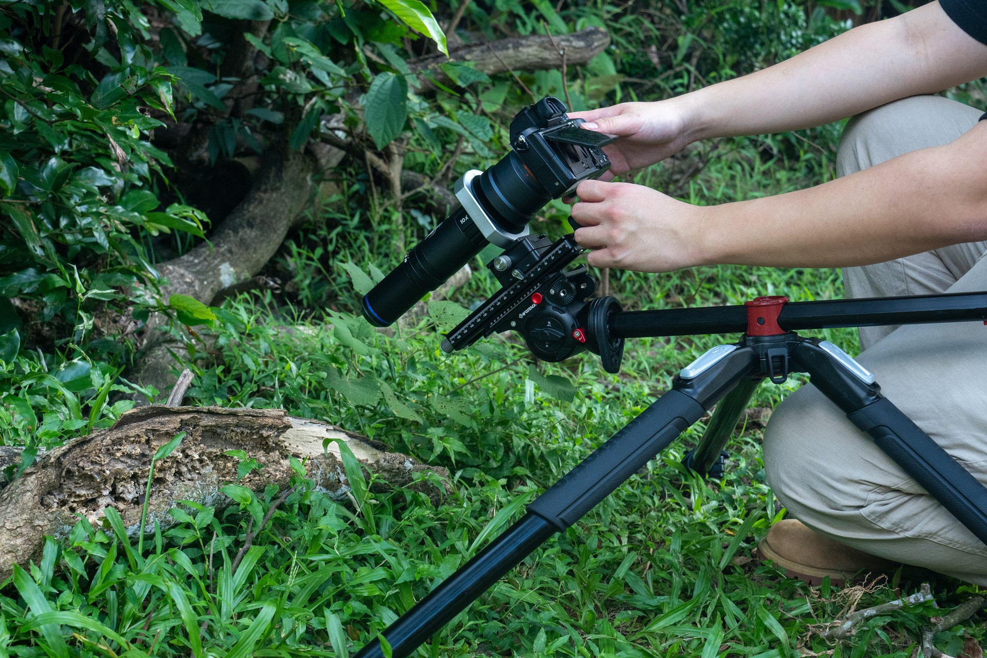 Набор макрообъективов LAOWA серии Aurogon. Фотограф — видеограф в Москве Дмитрий Менделеев