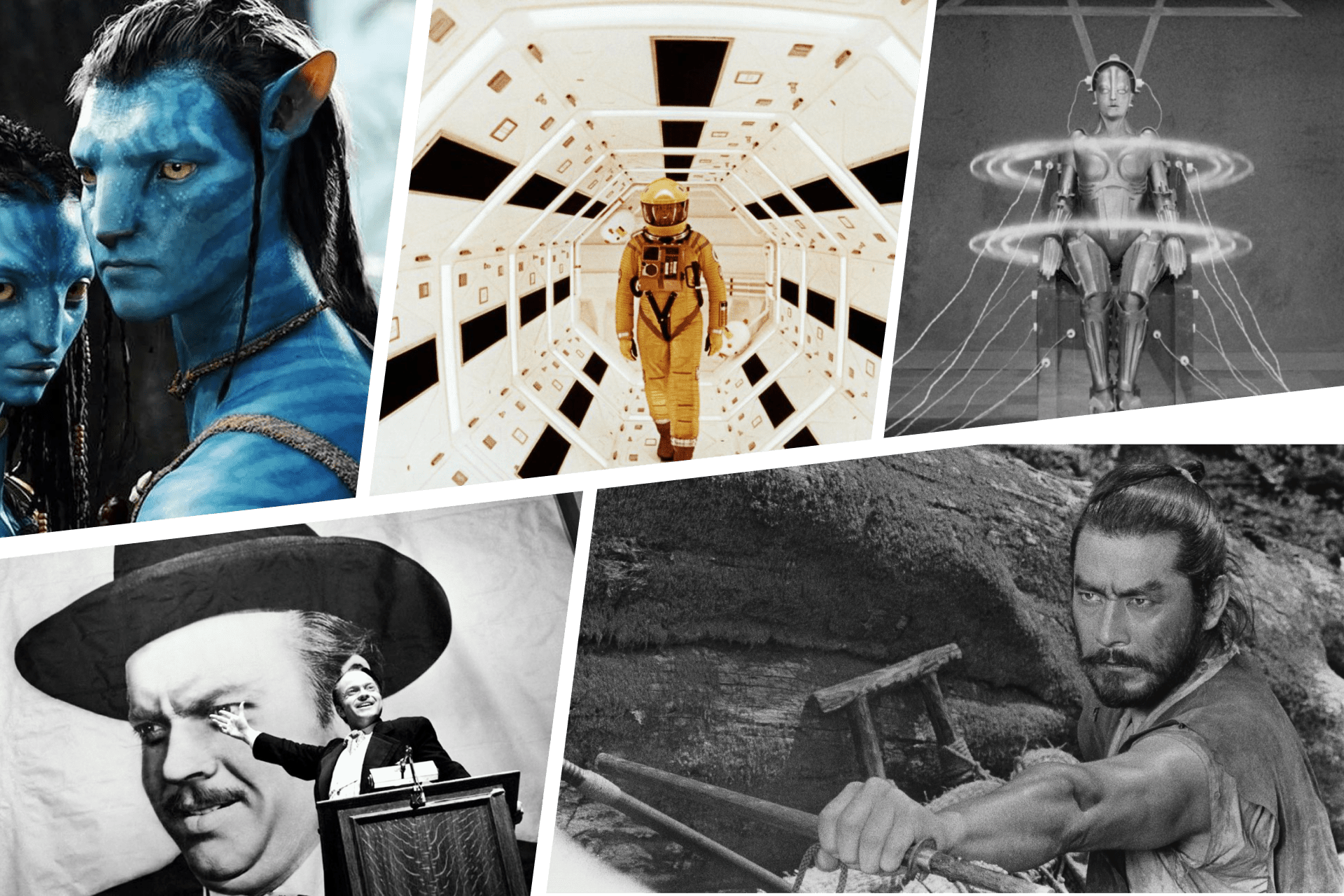 Нескучная история кино. Марковы: фото, видео, кино и книги