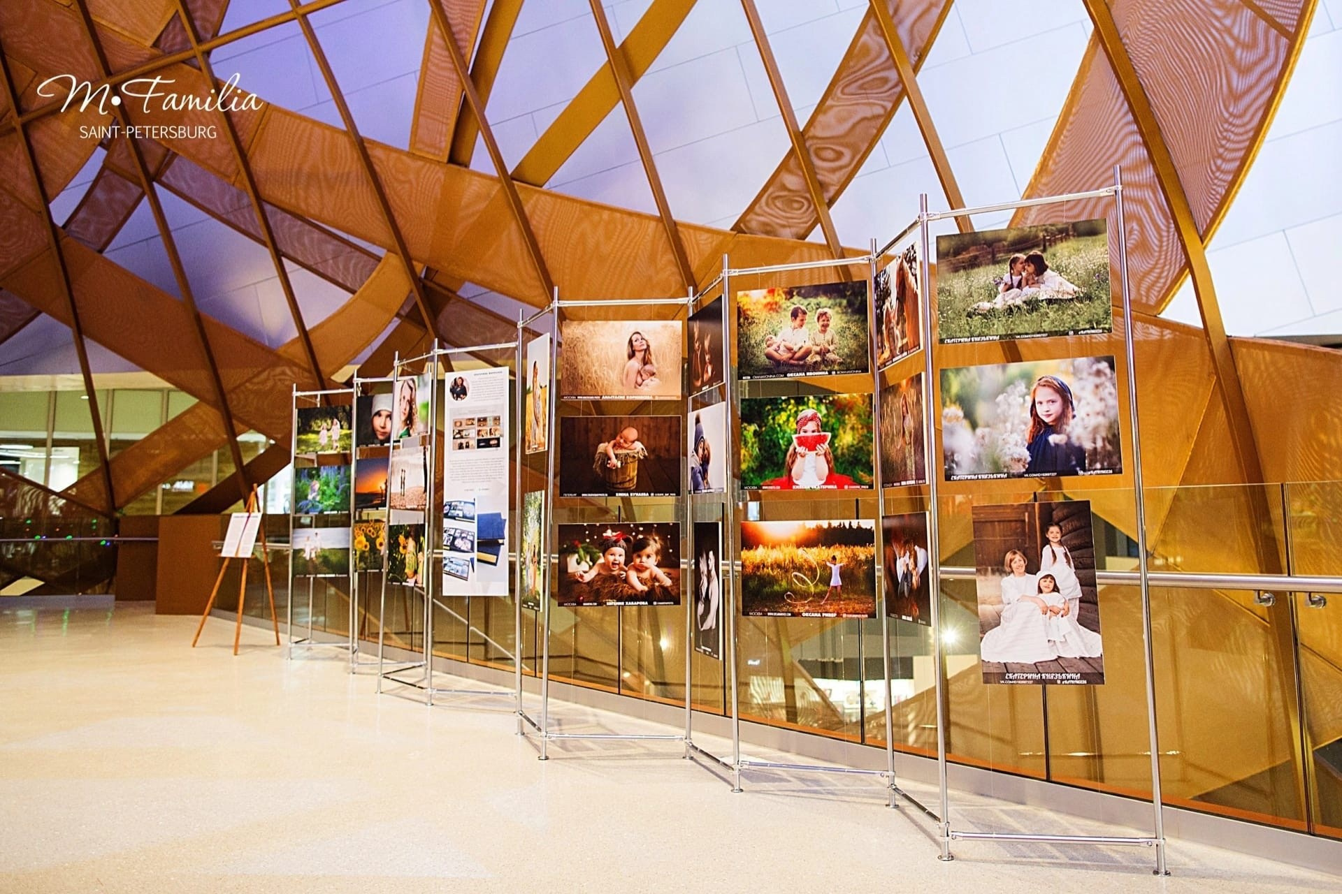 Сколько стоит организация персональной выставки?. Организация фотовыставок в Петербурге и Москве, MFamilia (МФамилия)