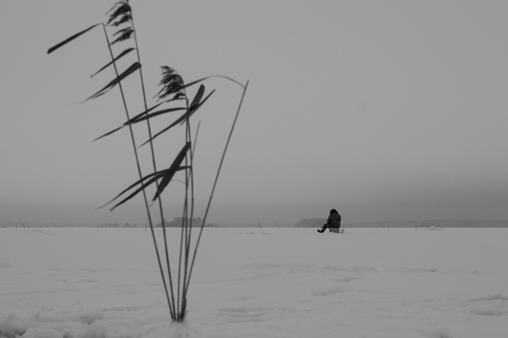 Winter in Vyshny Volochyok – Artistic Photography of Snowy Landscapes