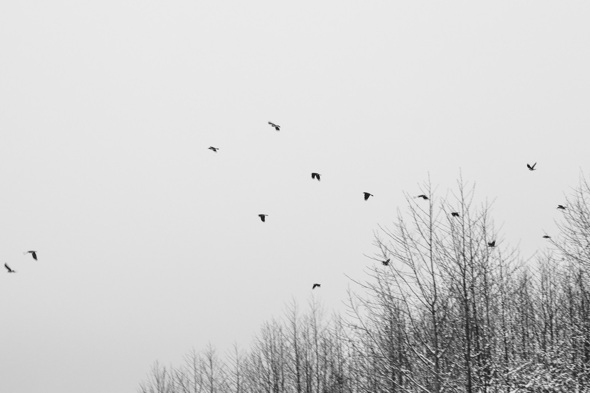 Winter in Vyshny Volochyok – Artistic Photography of Snowy Landscapes