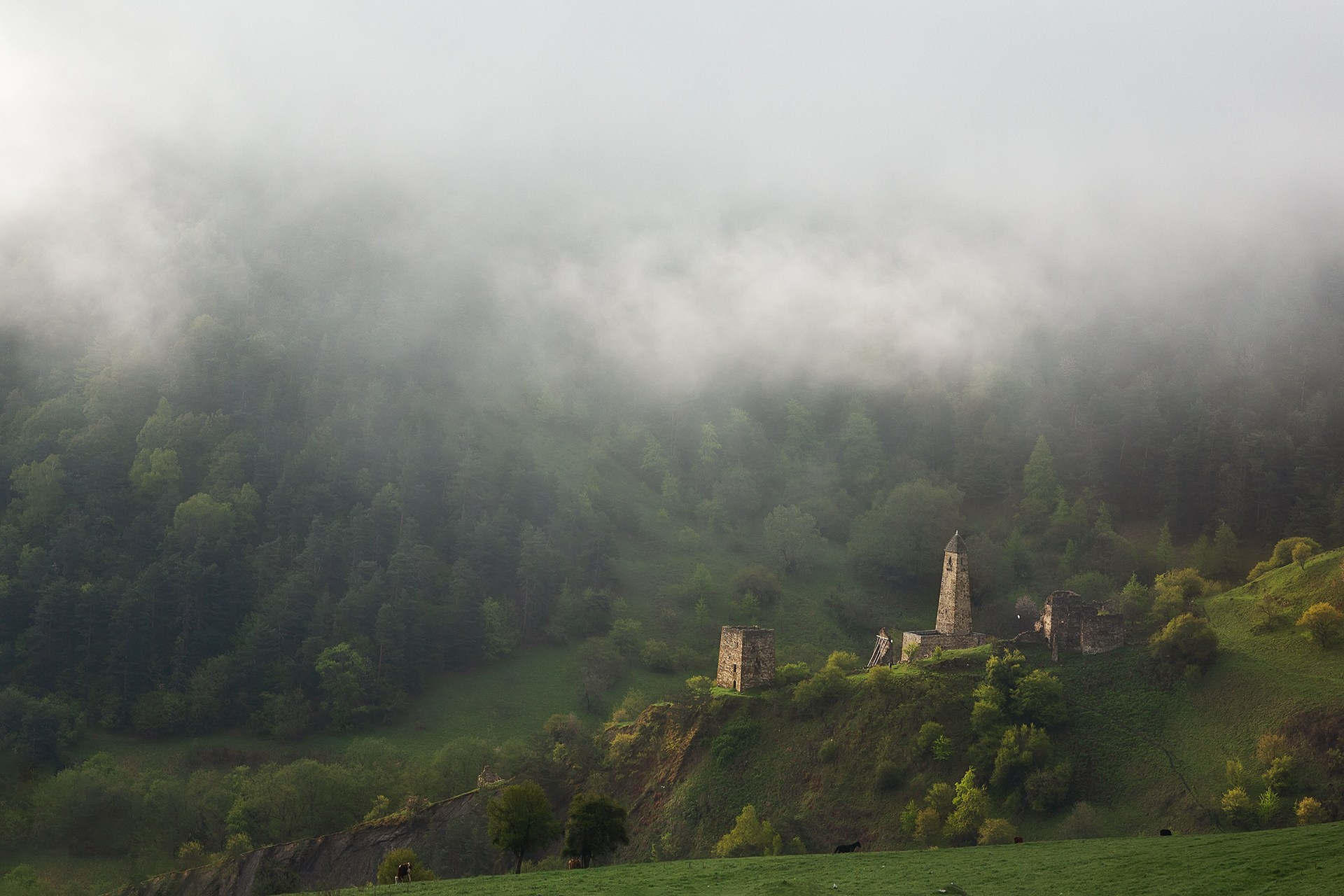 Ингушетия. Воркшоп. Фототуры и обучение пейзажной фотографии