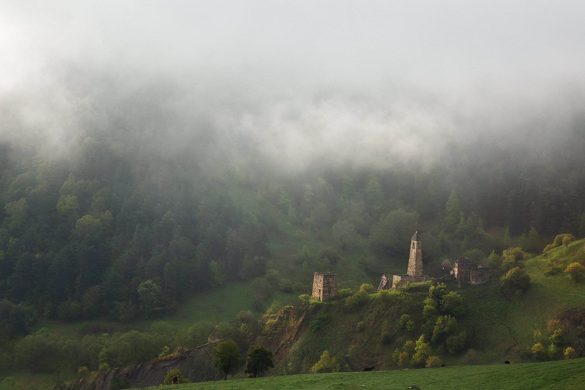 Статья. Про композицию…и не только. Фототуры и обучение пейзажной фотографии