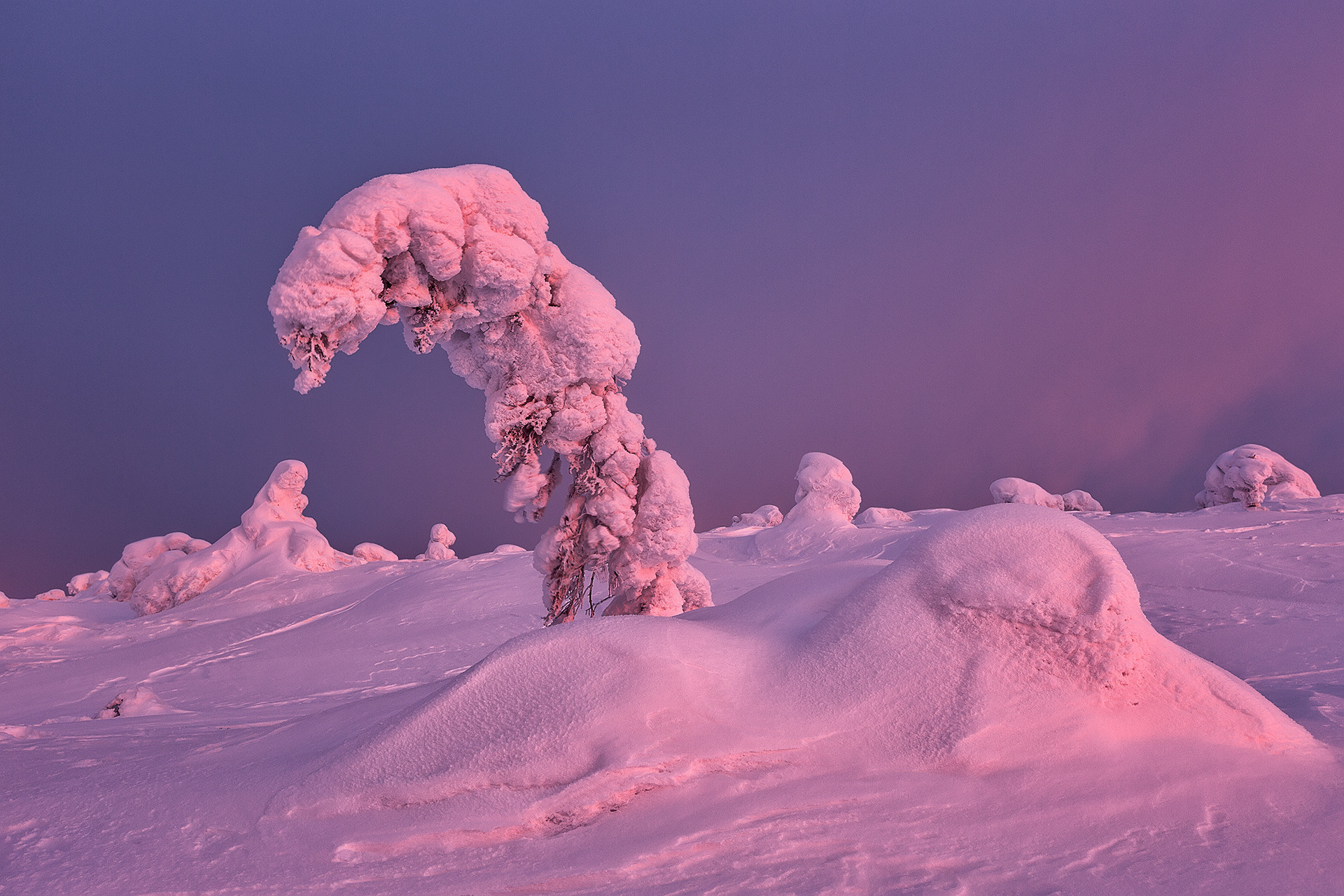 Статья. 5 советов по съёмке пейзажа. Фототуры и обучение пейзажной фотографии