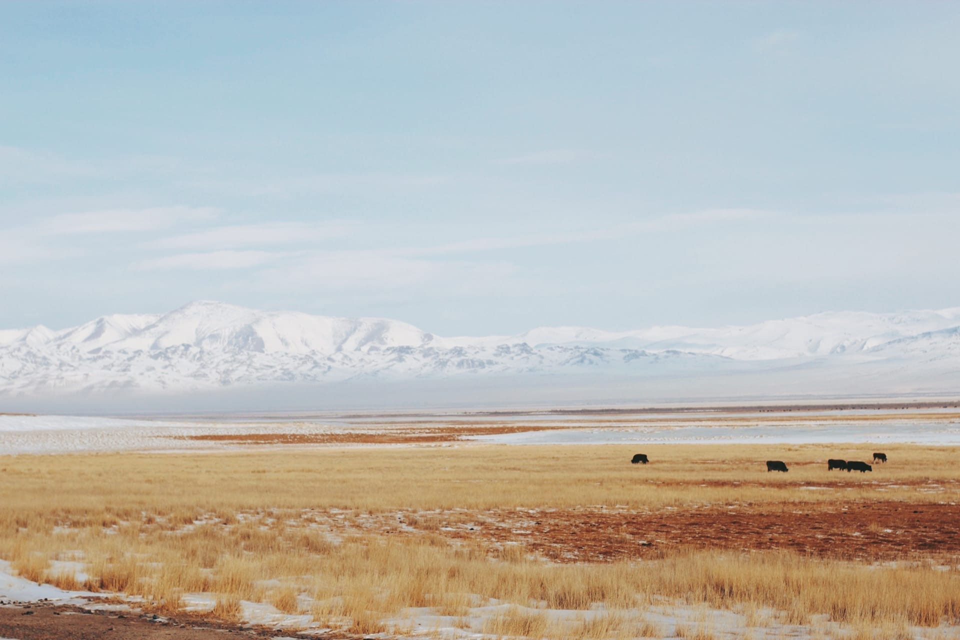 Прайс. Фотограф в Краснодаре и на Алтае Мария Зорькина