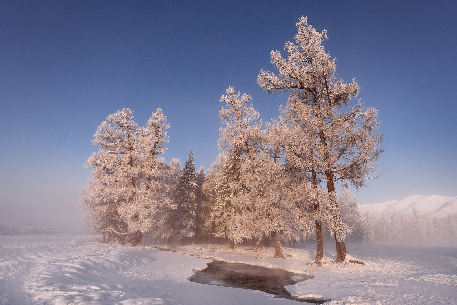 Зимние краски Алтая (01.12 — 07.12.25). Фотограф Константин Шамин