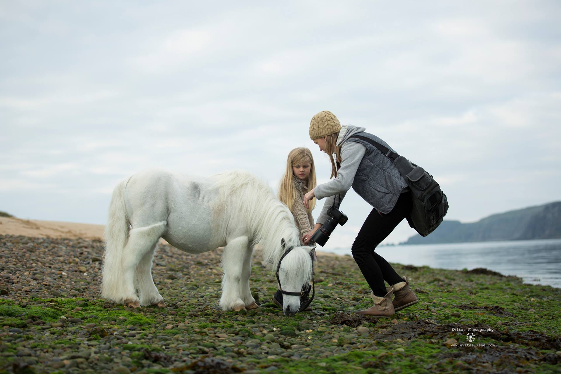 Авторский онлайн курс. Елена Шумилова