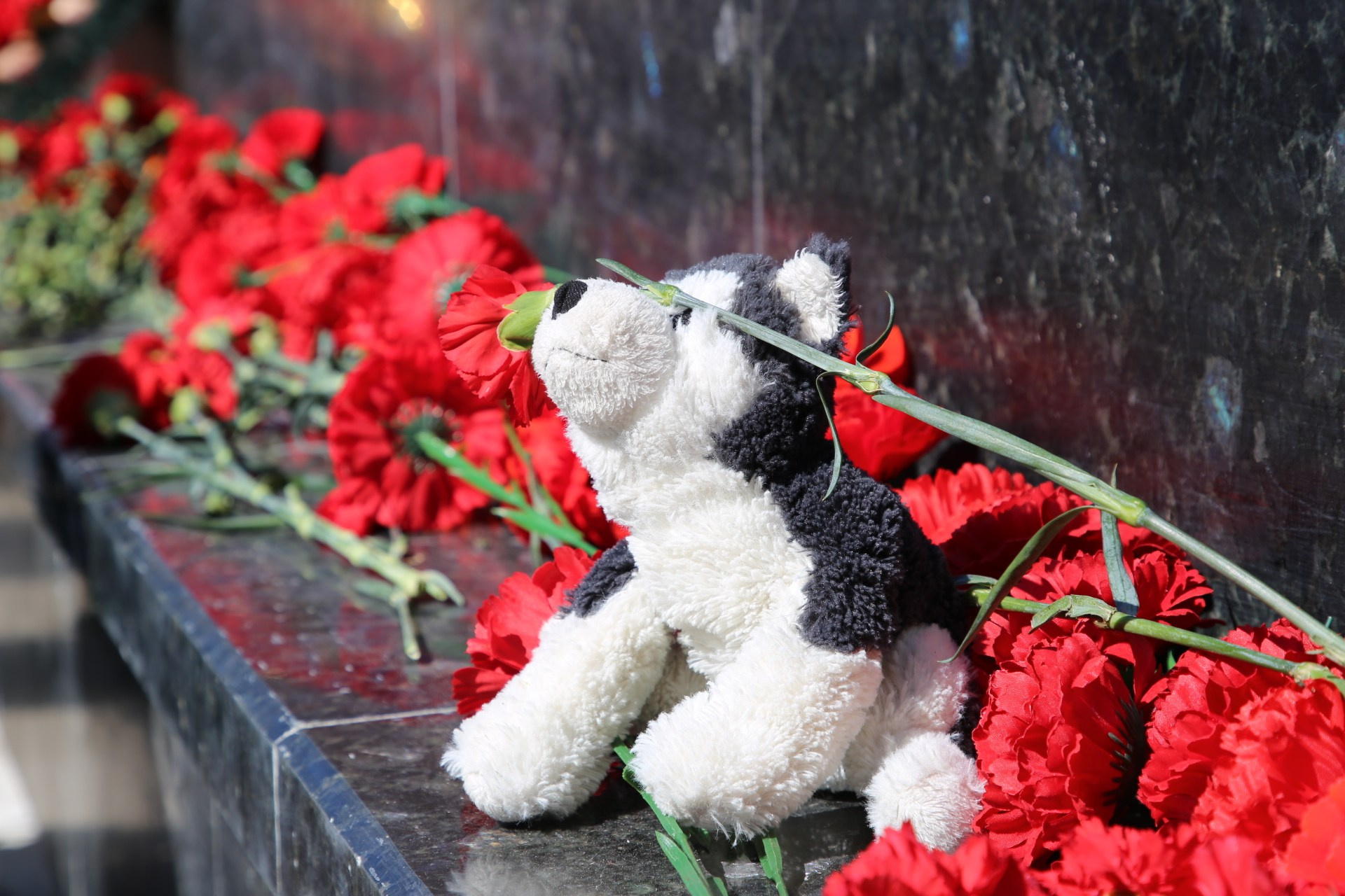 МЕМОРИАЛ. Белякова Кристина — репортажный и портретный фотограф в Твери