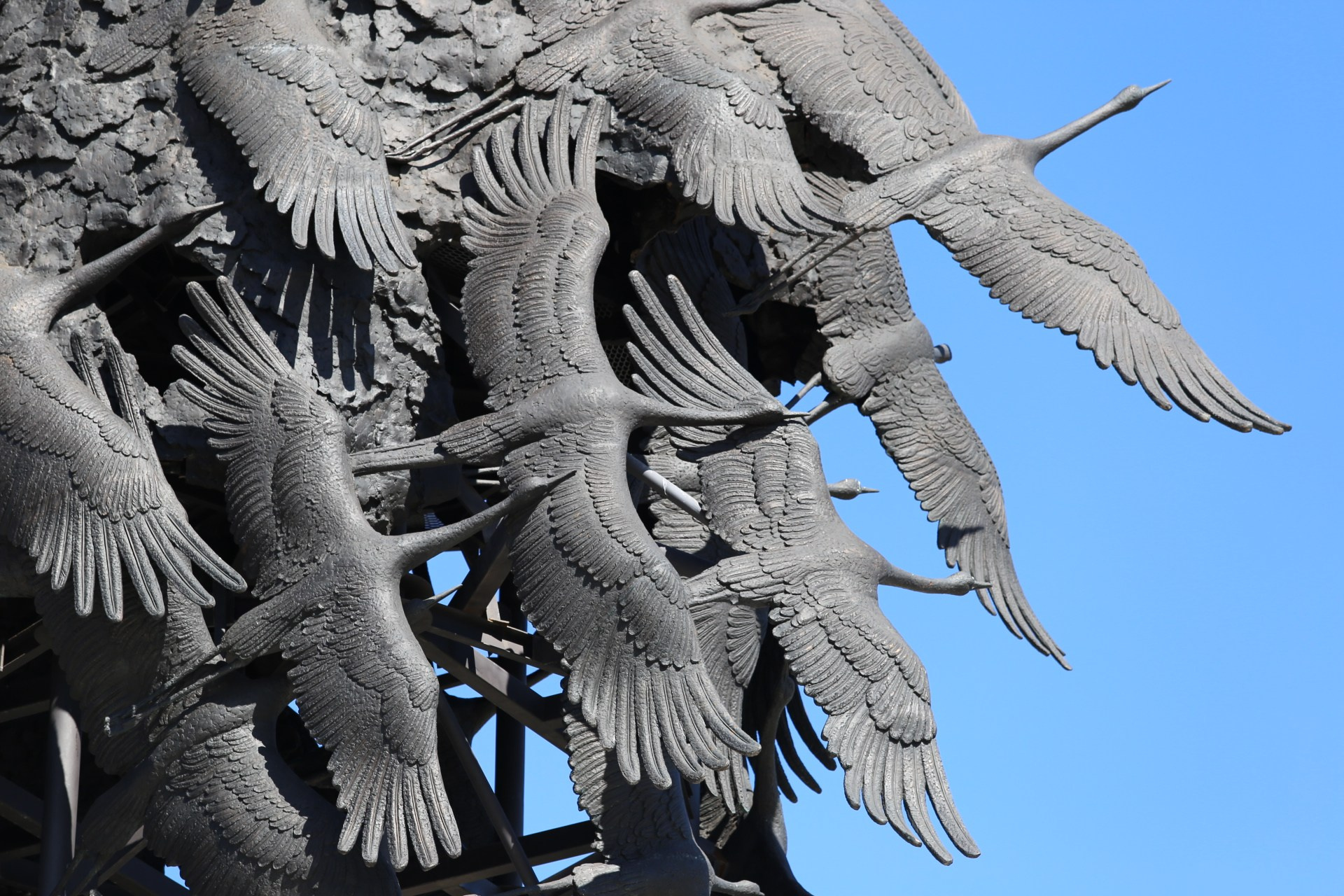 МЕМОРИАЛ. Белякова Кристина — репортажный и портретный фотограф в Твери