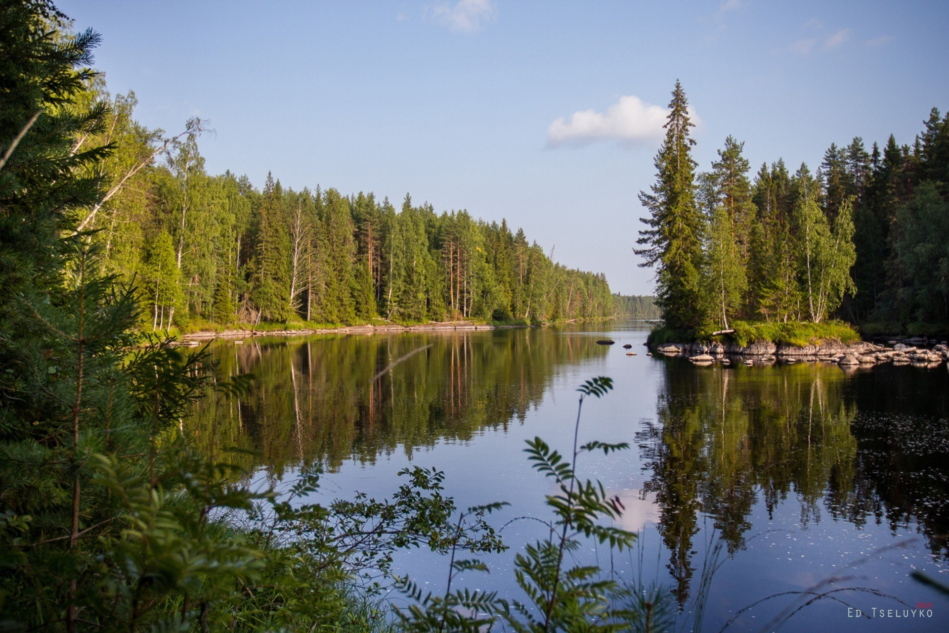 Фотосъёмка животных, собак, портреты, на выставке, дома, на прогулке Москва, Московская область, Железнодорожный, Балашиха