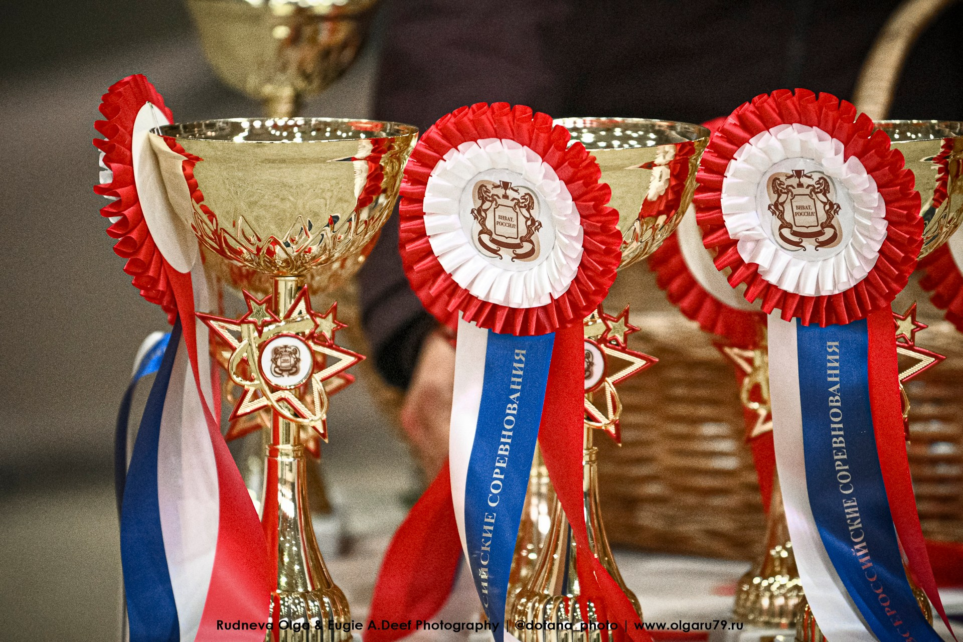 2026-02-27 по 01 марта — КСК ВИВАТ, РОССИЯ! (конкур). ТУРНИРНАЯ КОННАЯ ФОТОГРАФИЯ, Руднева Ольга и Евгений Адеев