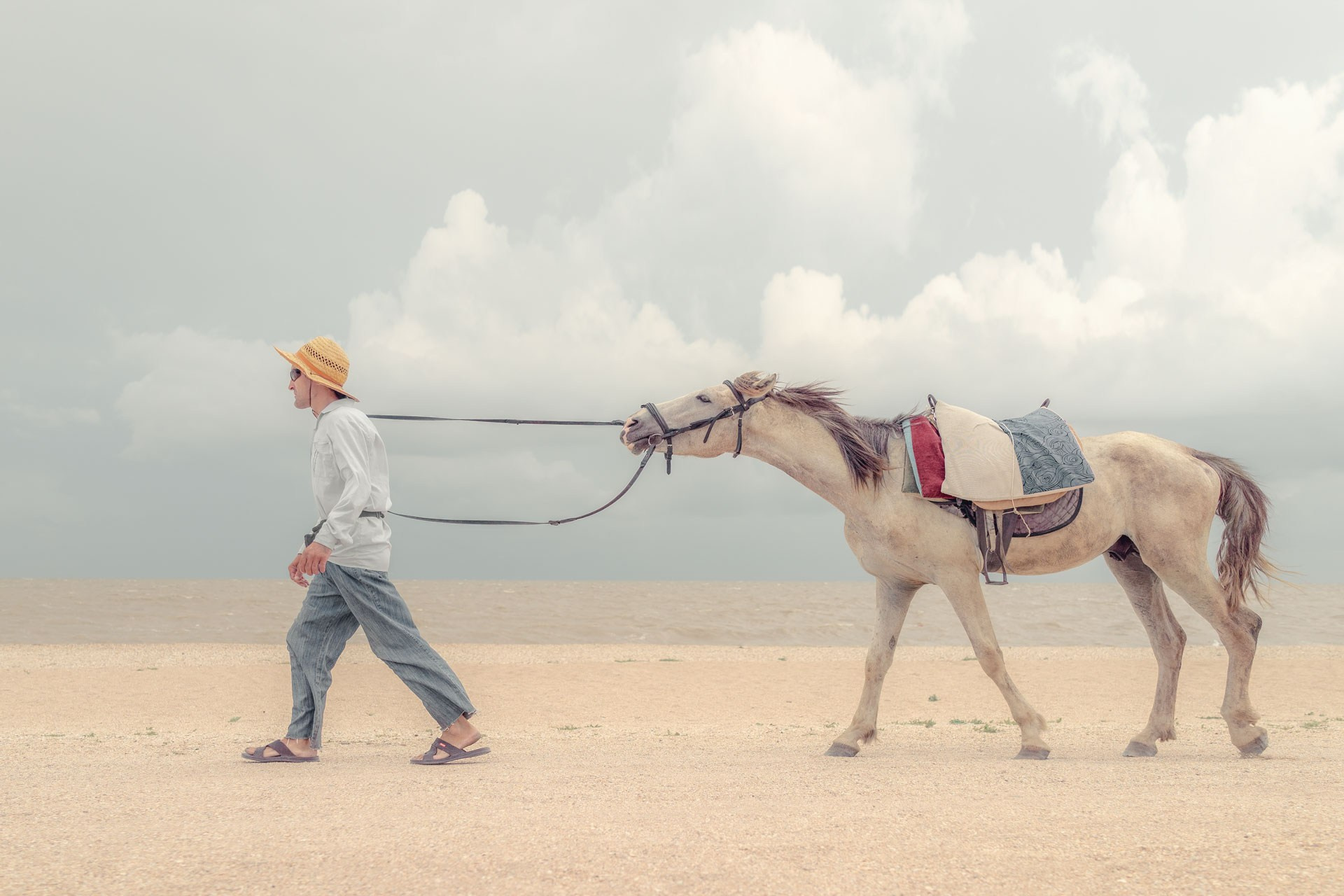 Избранная выставка — 10 лет творчества Михаила Потапова