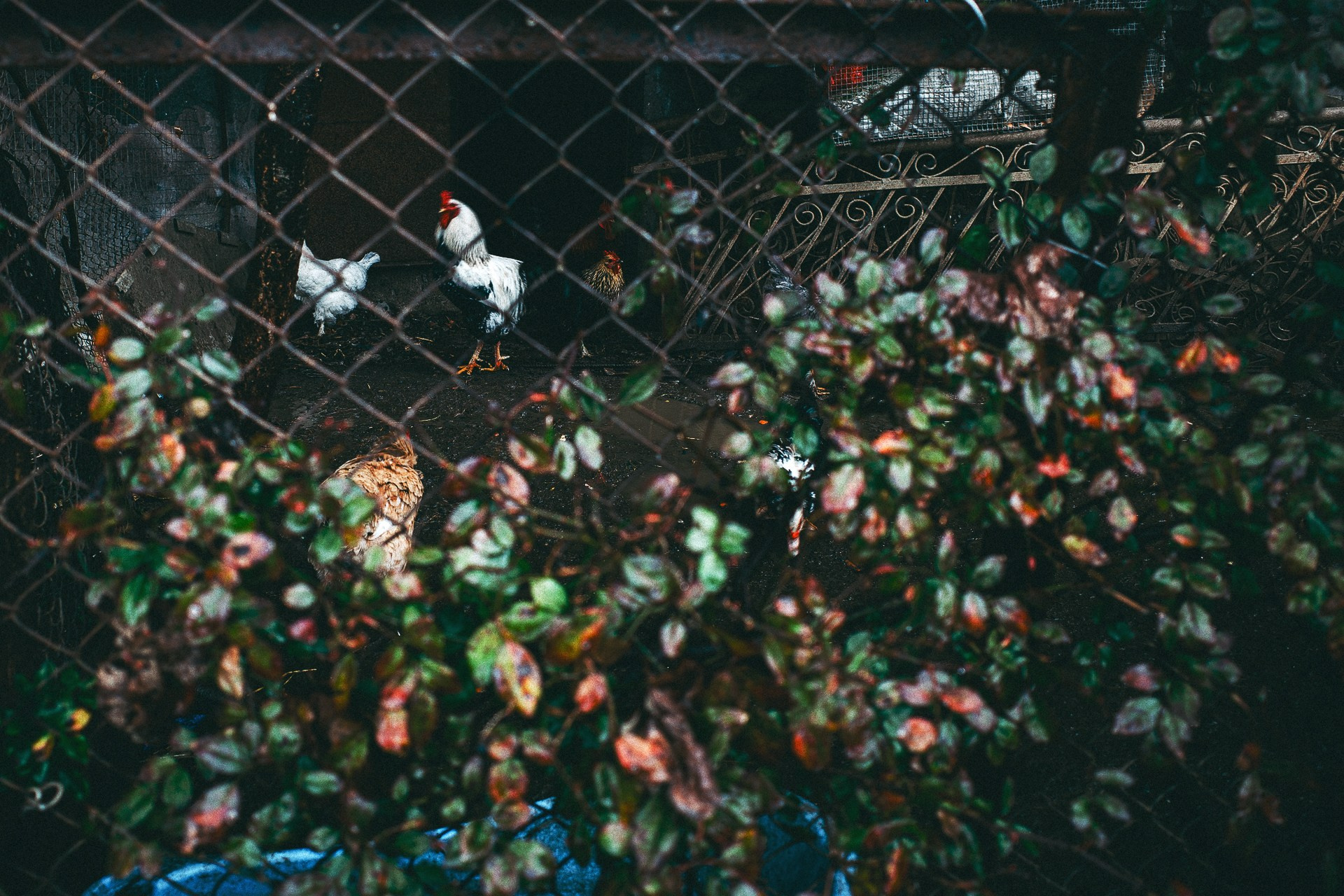 Абхазия. Фотограф Паша Максимов