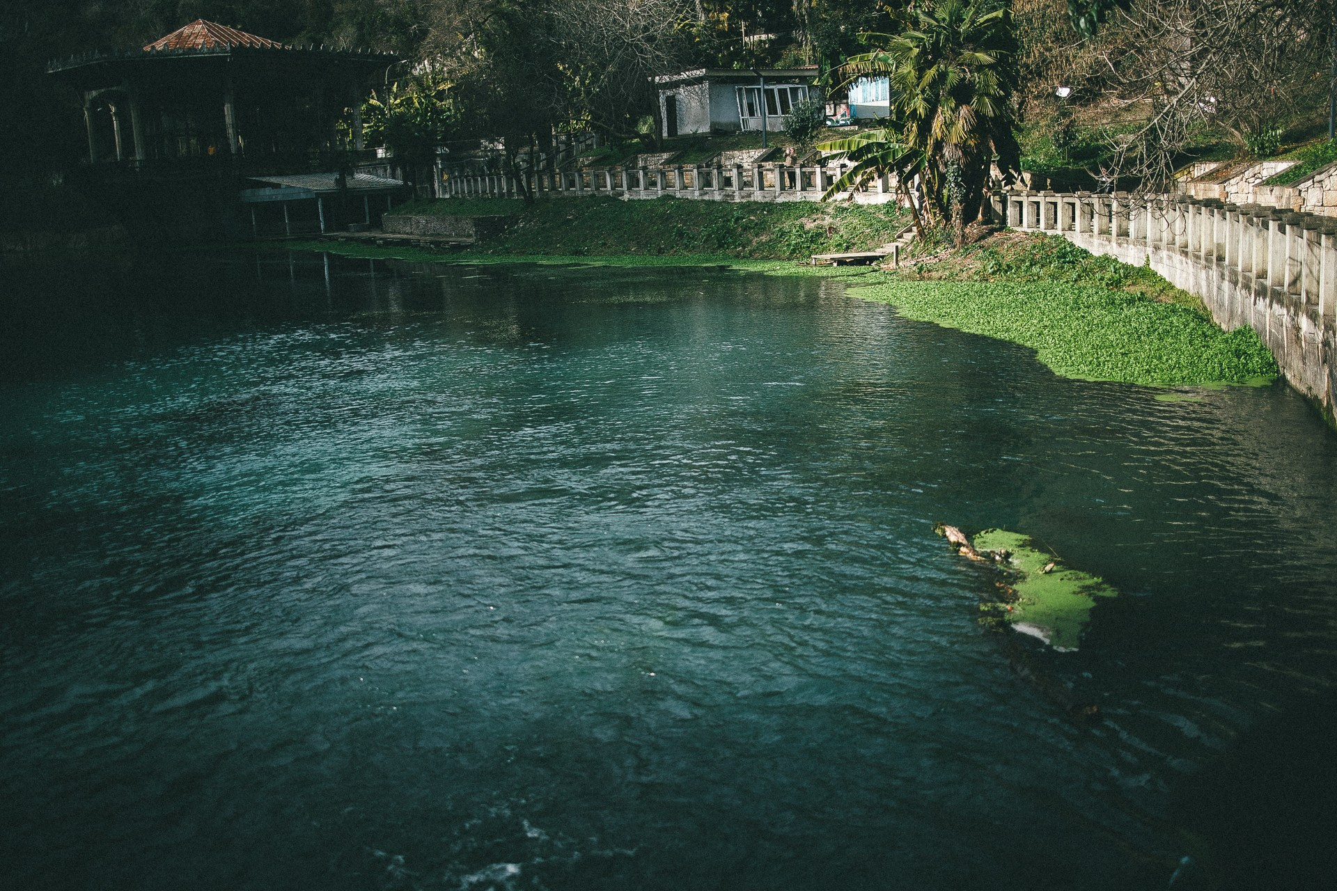 Абхазия. Фотограф Паша Максимов