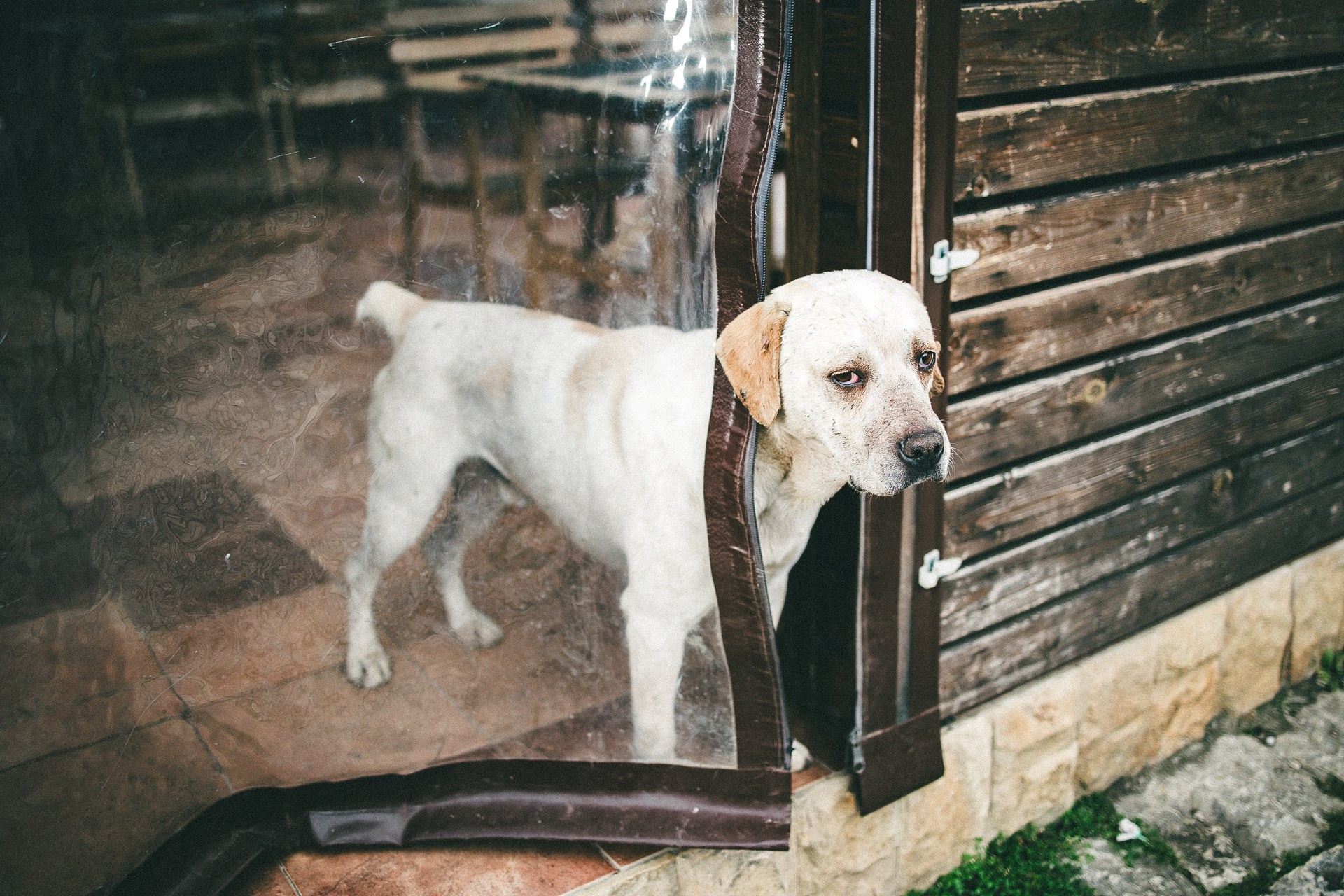 Абхазия. Фотограф Паша Максимов
