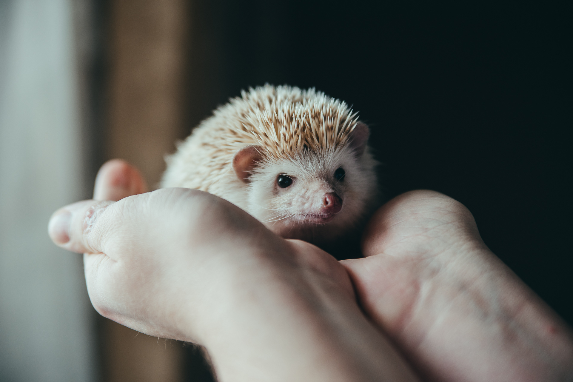 Мила, Саша и сынок Ваня. Фотограф новорожденных в стиле lifestyle в Воронеже Юлия Ключникова