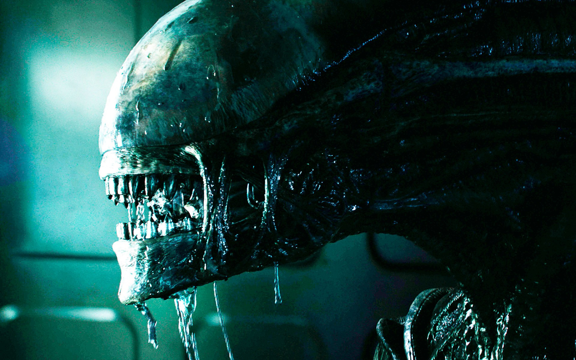 В космосе твой крик никто не услышит. О вселенной Чужого простыми словами