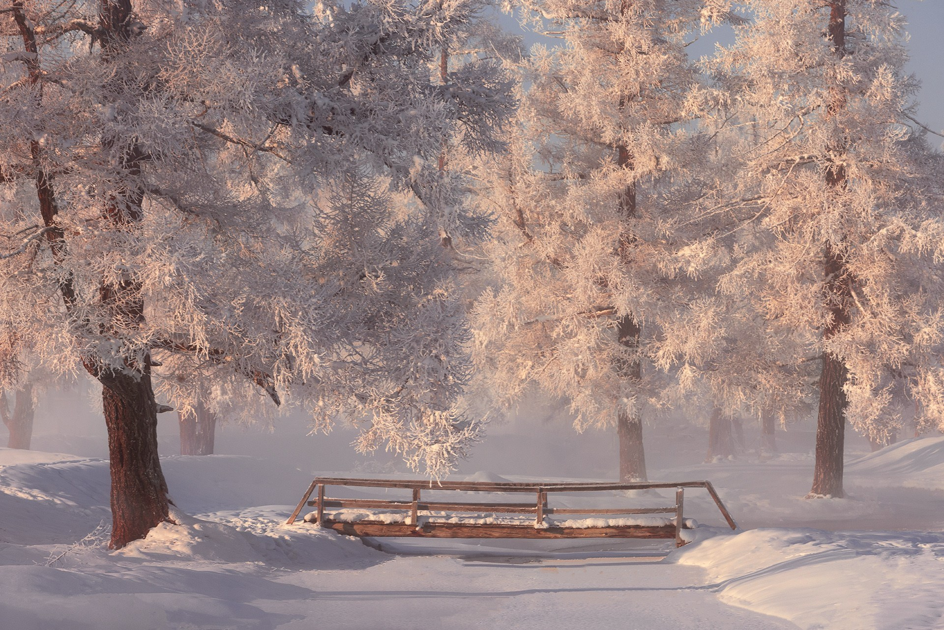 Зимние краски Алтая (01.12 — 07.12.25). Фотограф Константин Шамин