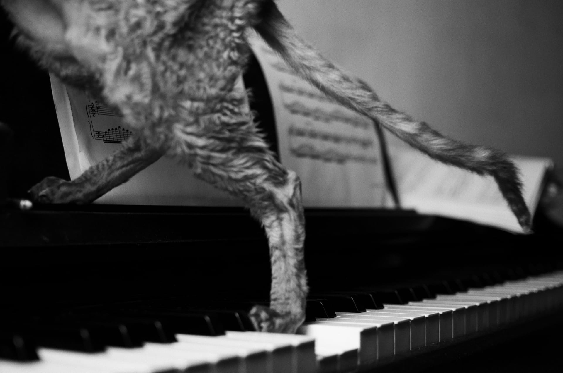 Принты. Gallery Schwarz. Фотография, принты, съёмки в Петербурге и Москве