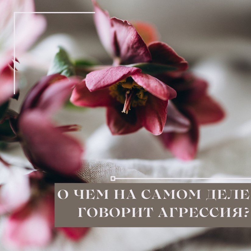 Что порой на самом деле говорит агрессия?