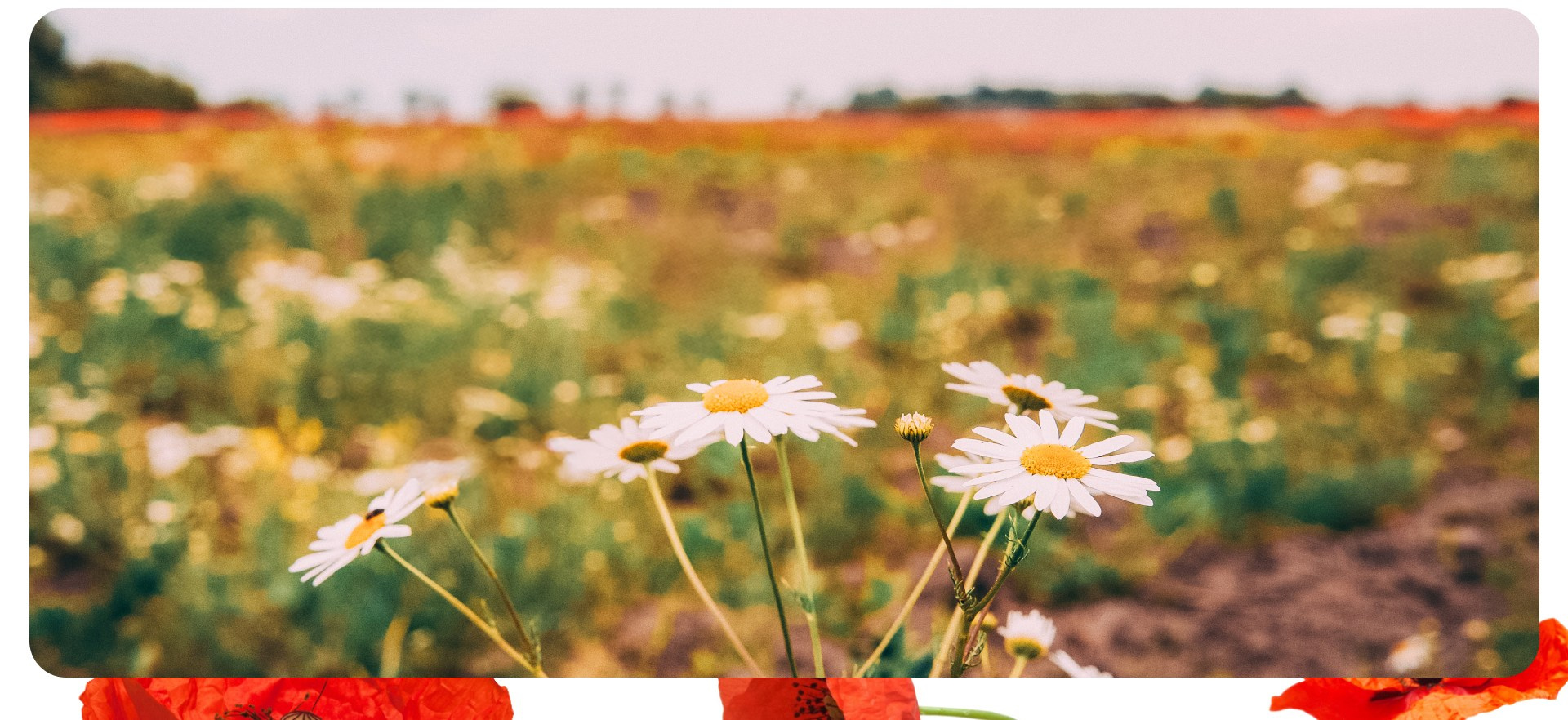 Калининград 2. Фотограф из Москвы — DASHA NOVA | Авторская фотография в разных жанрах