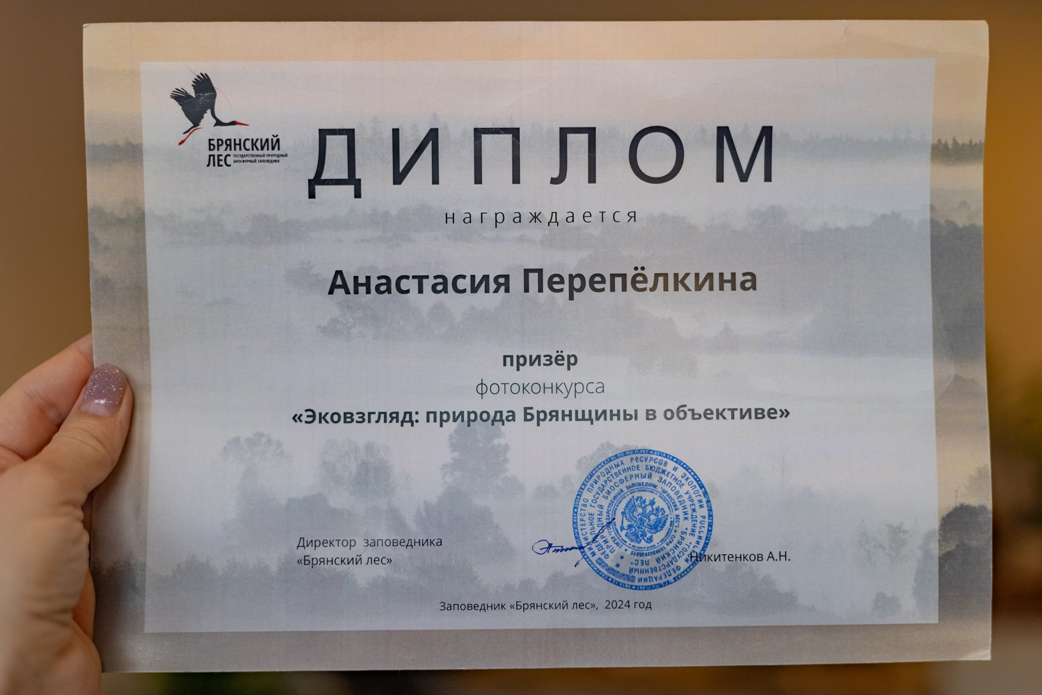 Моя квалификация. Семейный и детский фотограф |Брянск| Анастасия Перепелкина