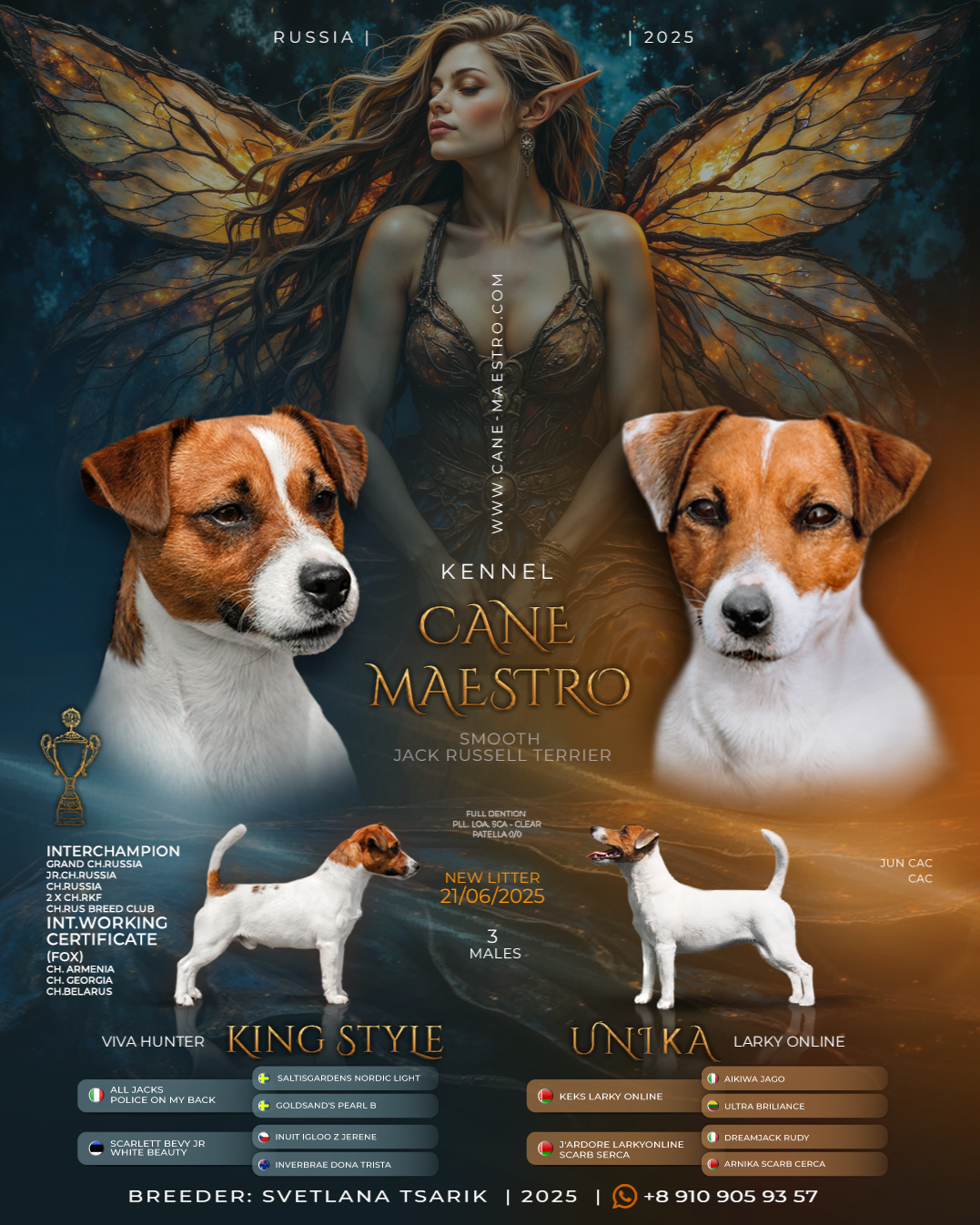 LITTER «Э» |21/06/2025. CANE MAESTRO — kennel Jack Russell Terrier