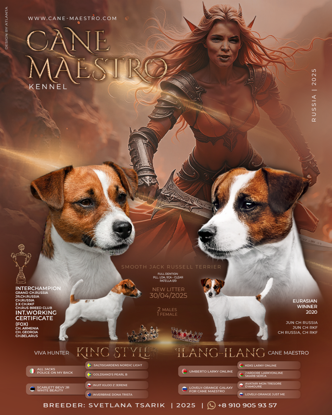 LITTER «SH» | 30/04/2025. CANE MAESTRO — kennel Jack Russell Terrier