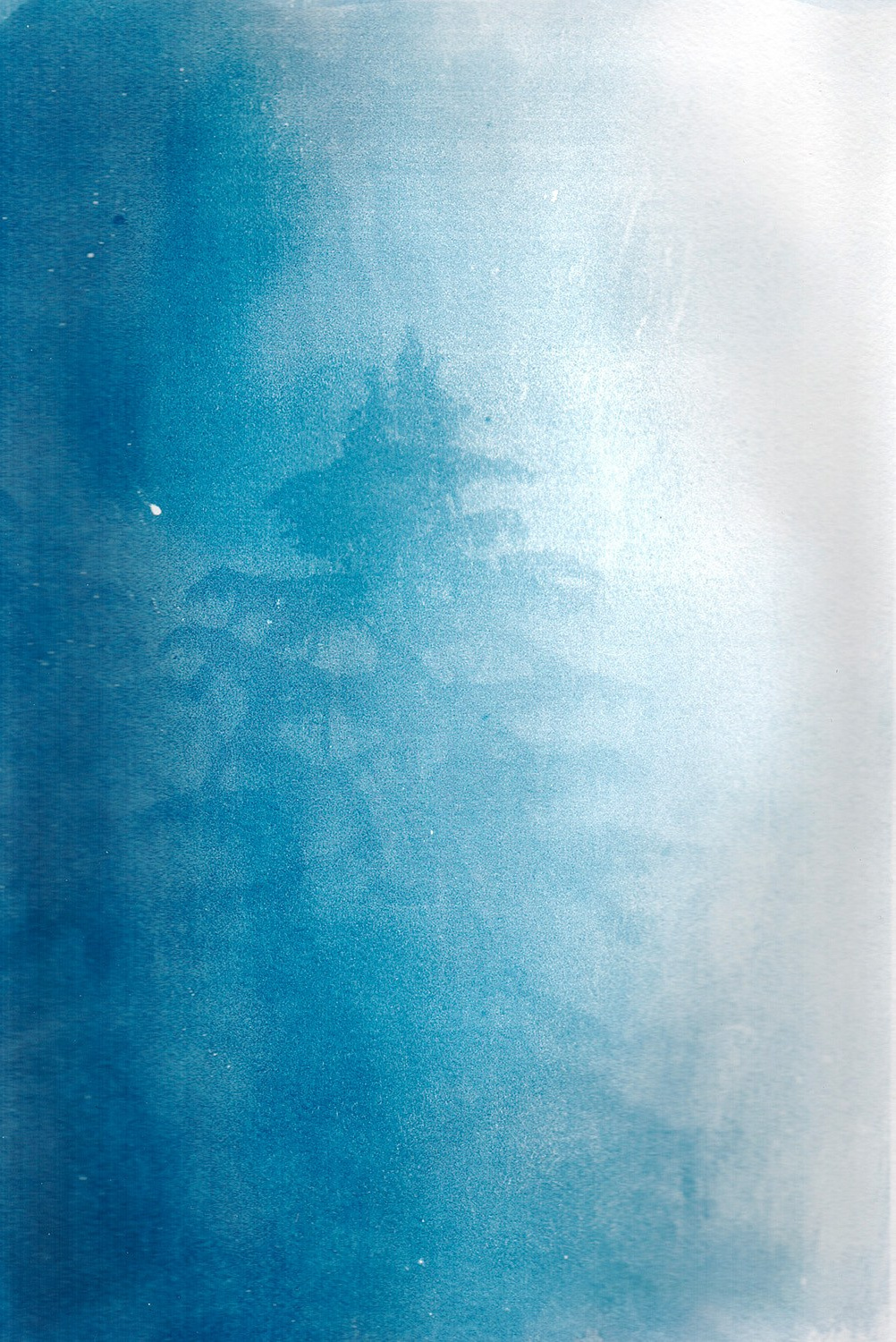 Сибирский путь. Julia Altukhova, multimedia artist