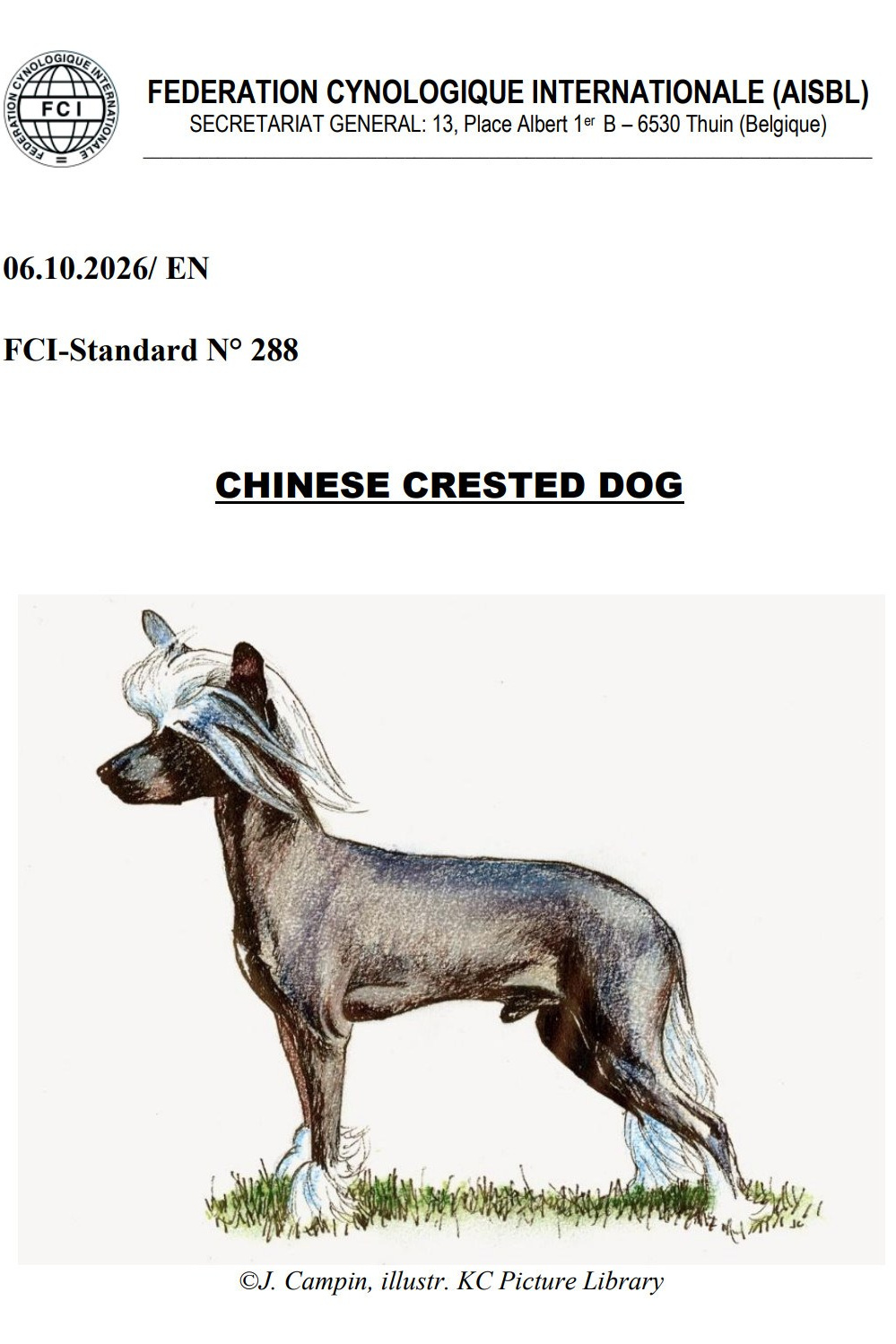 Official breed standard of the Chinese Crested Dog. Poale Ell Chinese Crested Dog Kennel: Buy a puppy from the kennel
