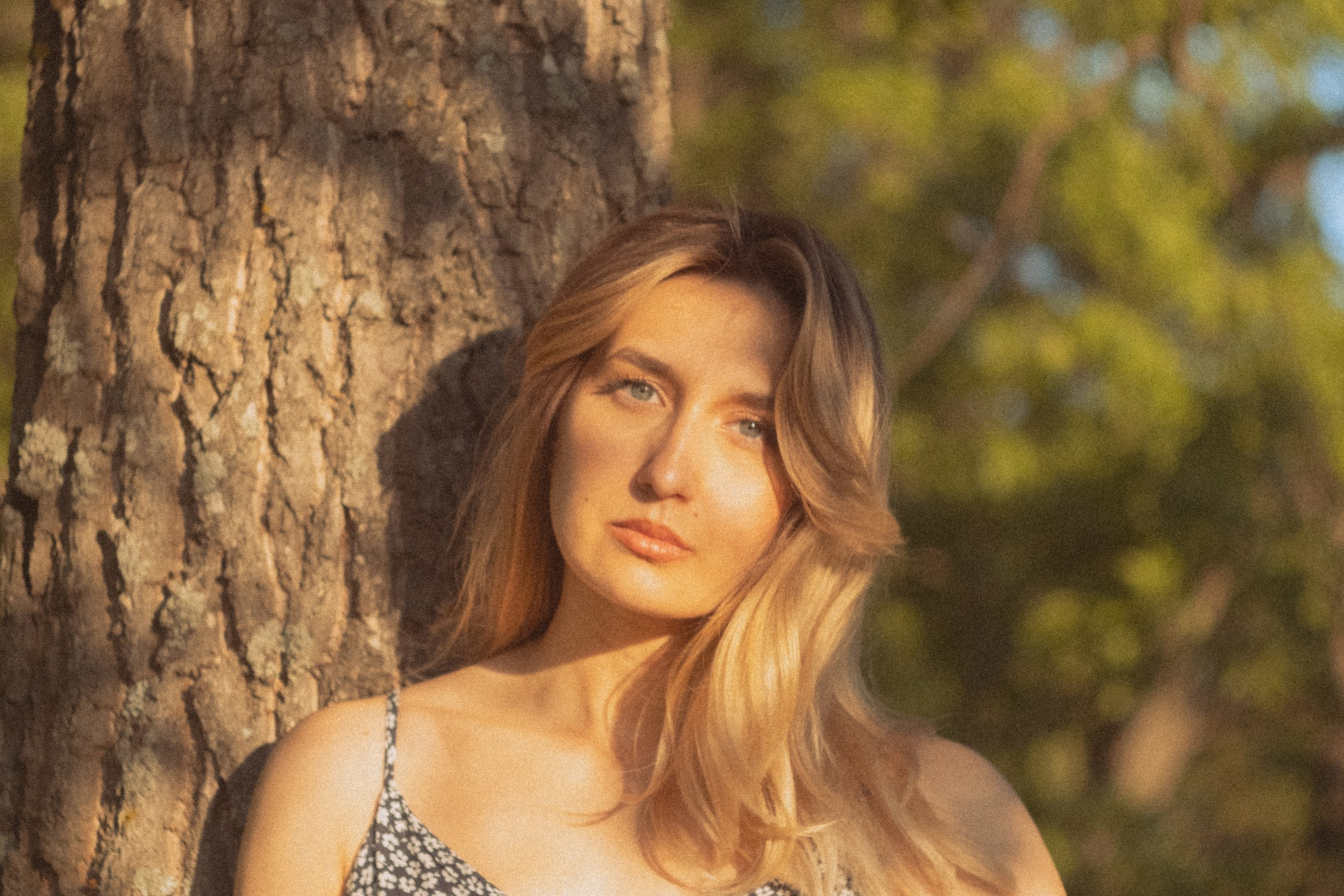 Services. Nikita Pavlov — Photographer, Cinematographer