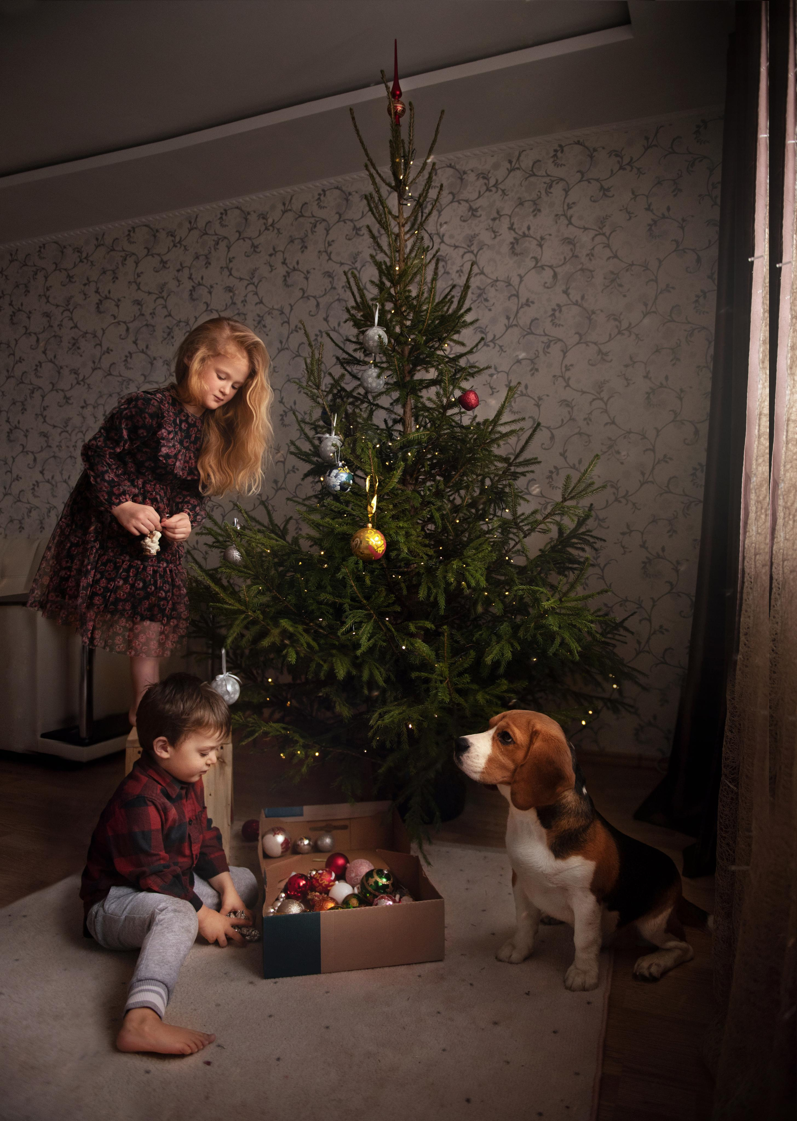 Новогодние фотосессии 2022. Свадебный и семейный фотограф в Воронеже Алёна Пшеничная