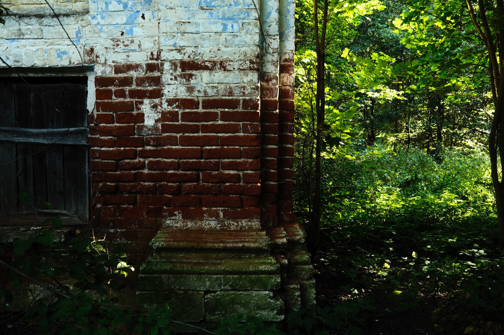 СОЛЯМИ. Belugin Art