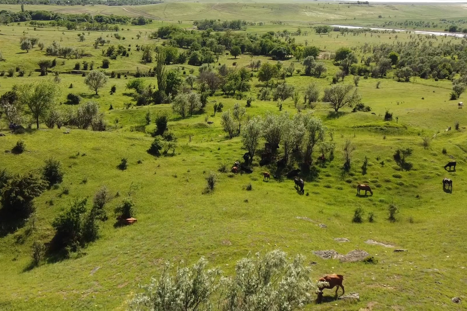Локации и маршруты