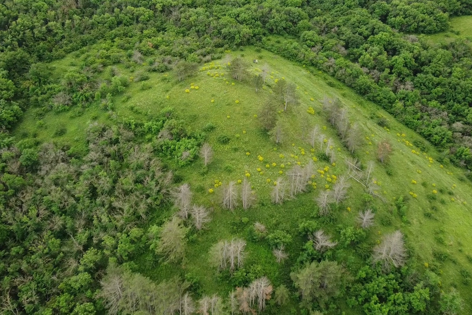 Локации и маршруты