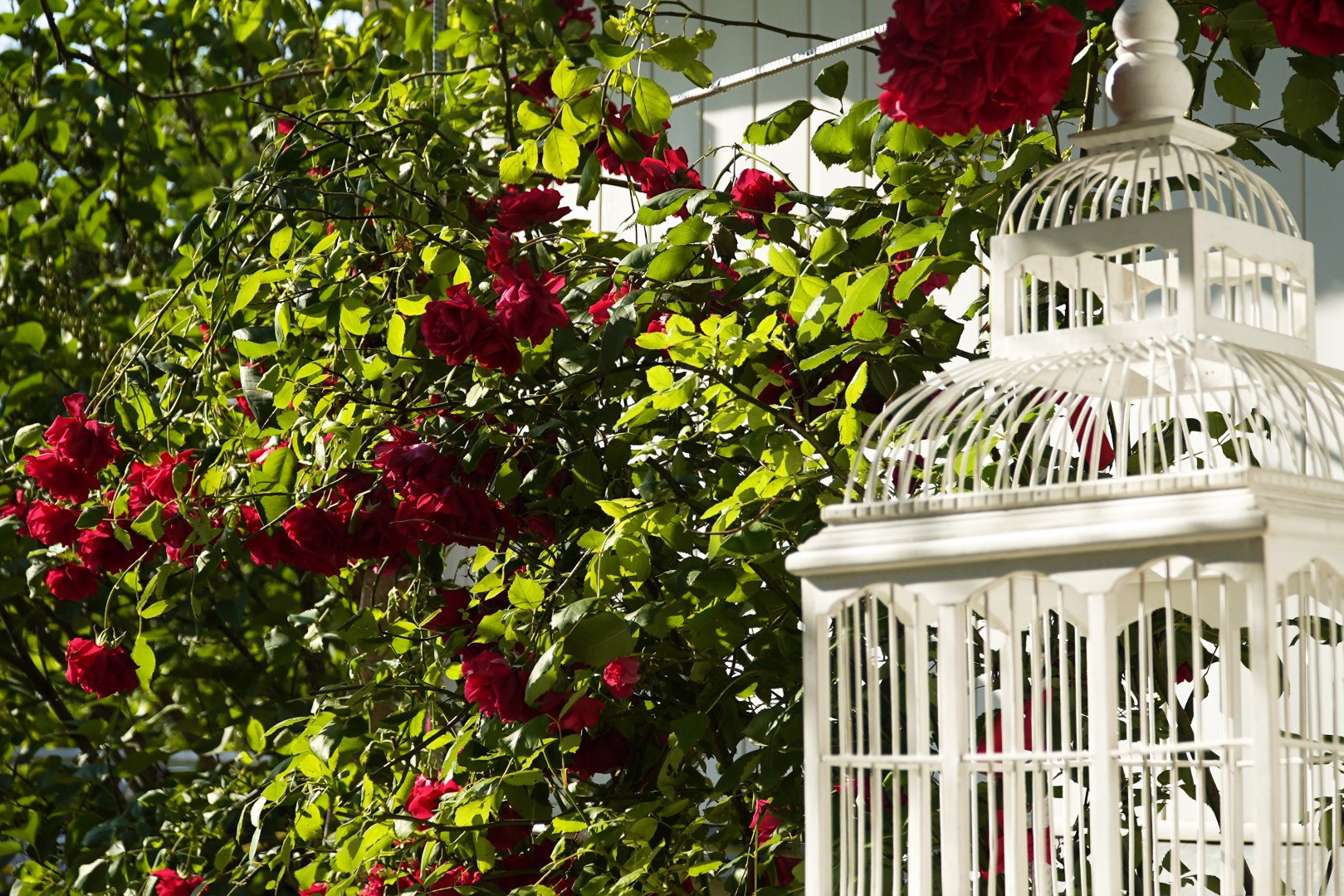 Локации и маршруты