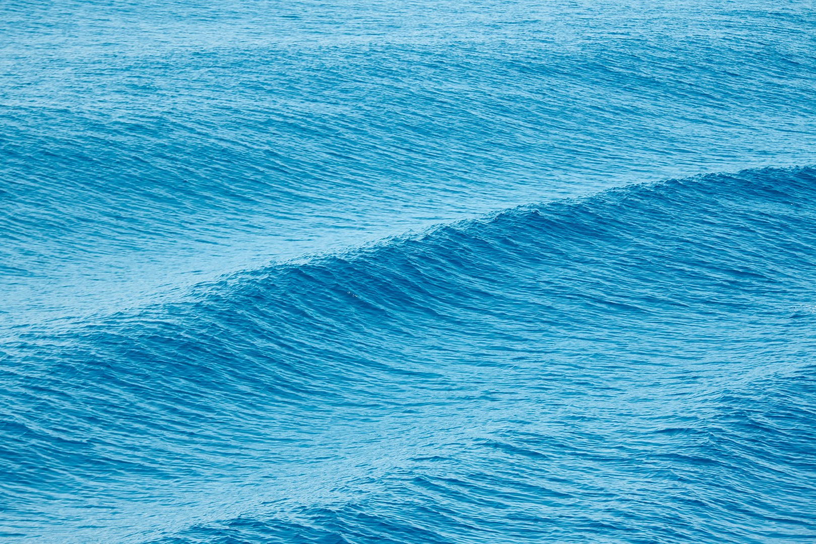 Фото-работы. Яркие фото на Чёрном море