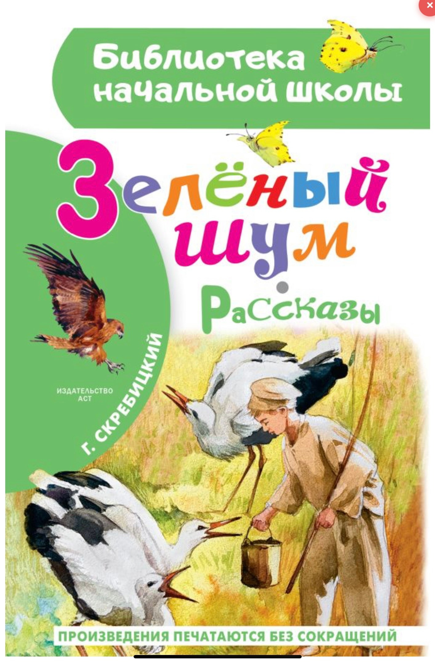 Иллюстрации к книге «Зелёный шум» Георгия Скребицкого, серия «О природе. Лучшее». Художник Ольга Цурина