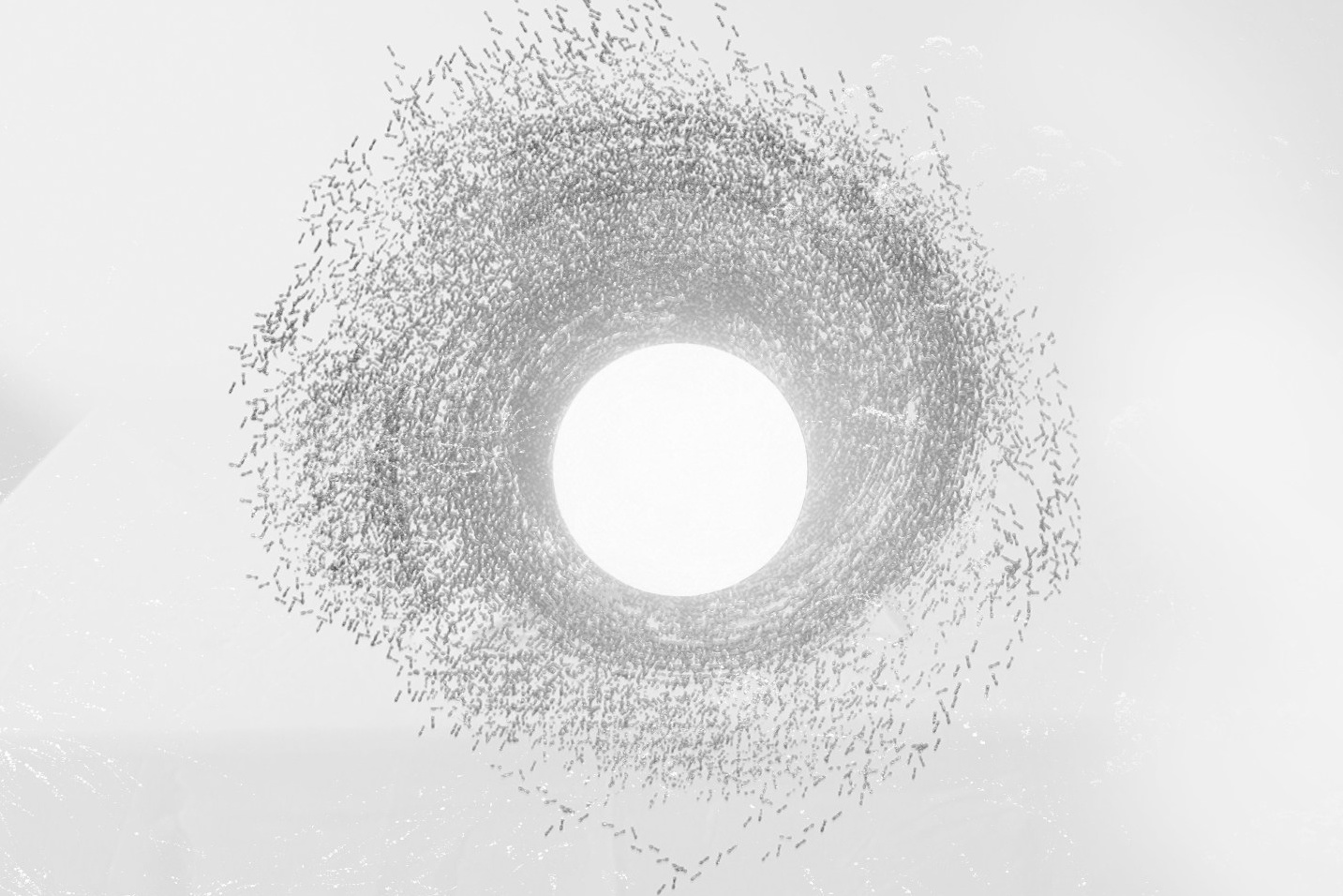 Ultima Thule. Ася Бобрицкая — мультидисциплинарый художник