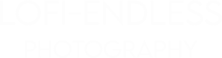 konevtsoph.wfolio.pro