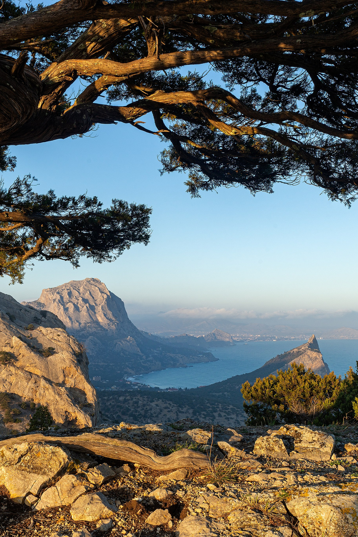 Ваш личный фотограф в Москве Алексей Павлов