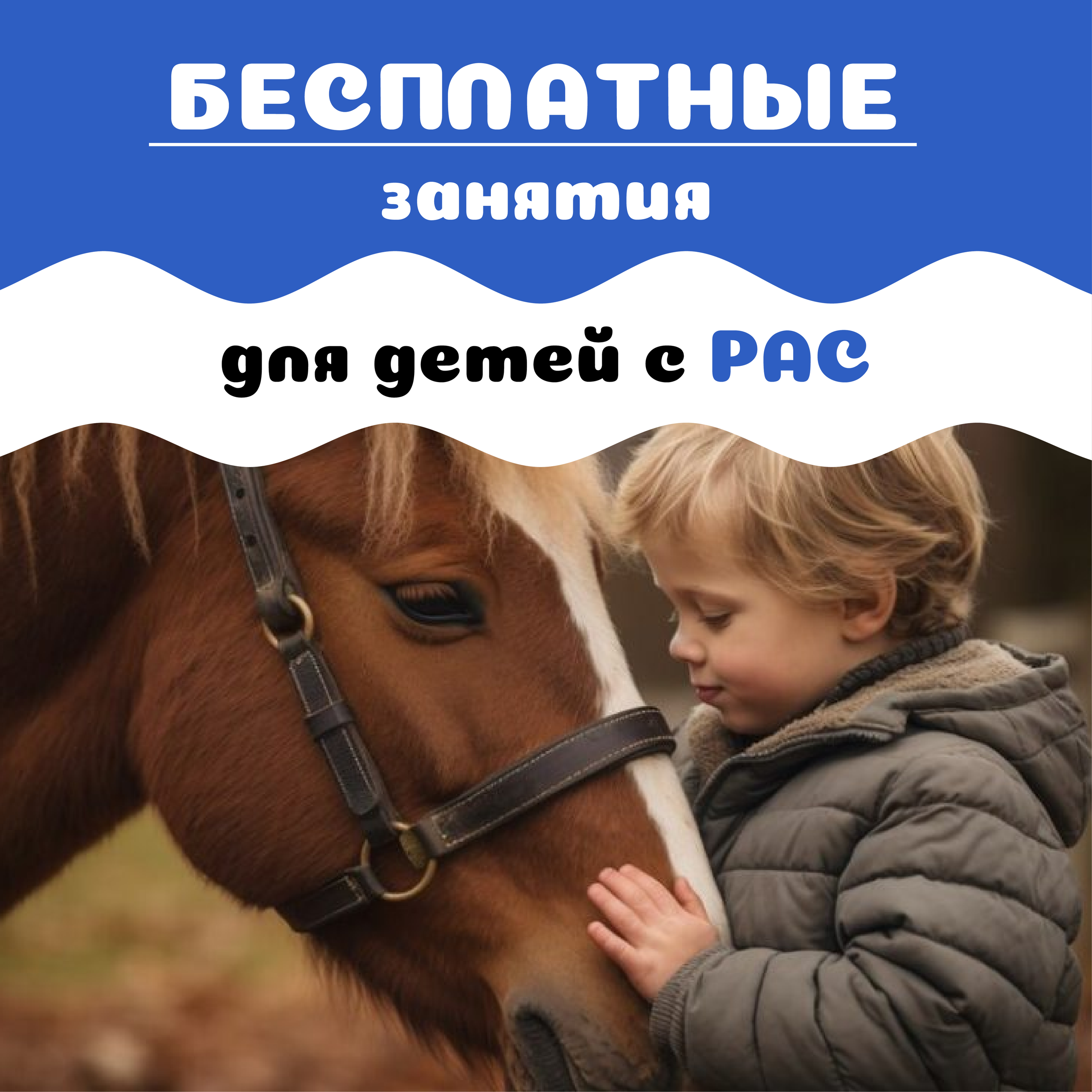 Иппотерапия. Конные прогулки в клубе «Анкор» — Омск