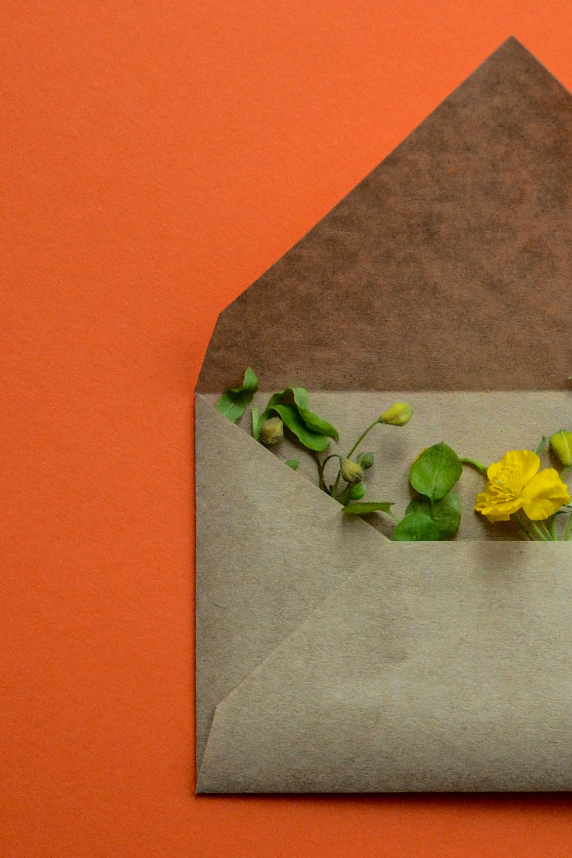 Контакты. Фотограф в Красноярске Наталья Скиданова