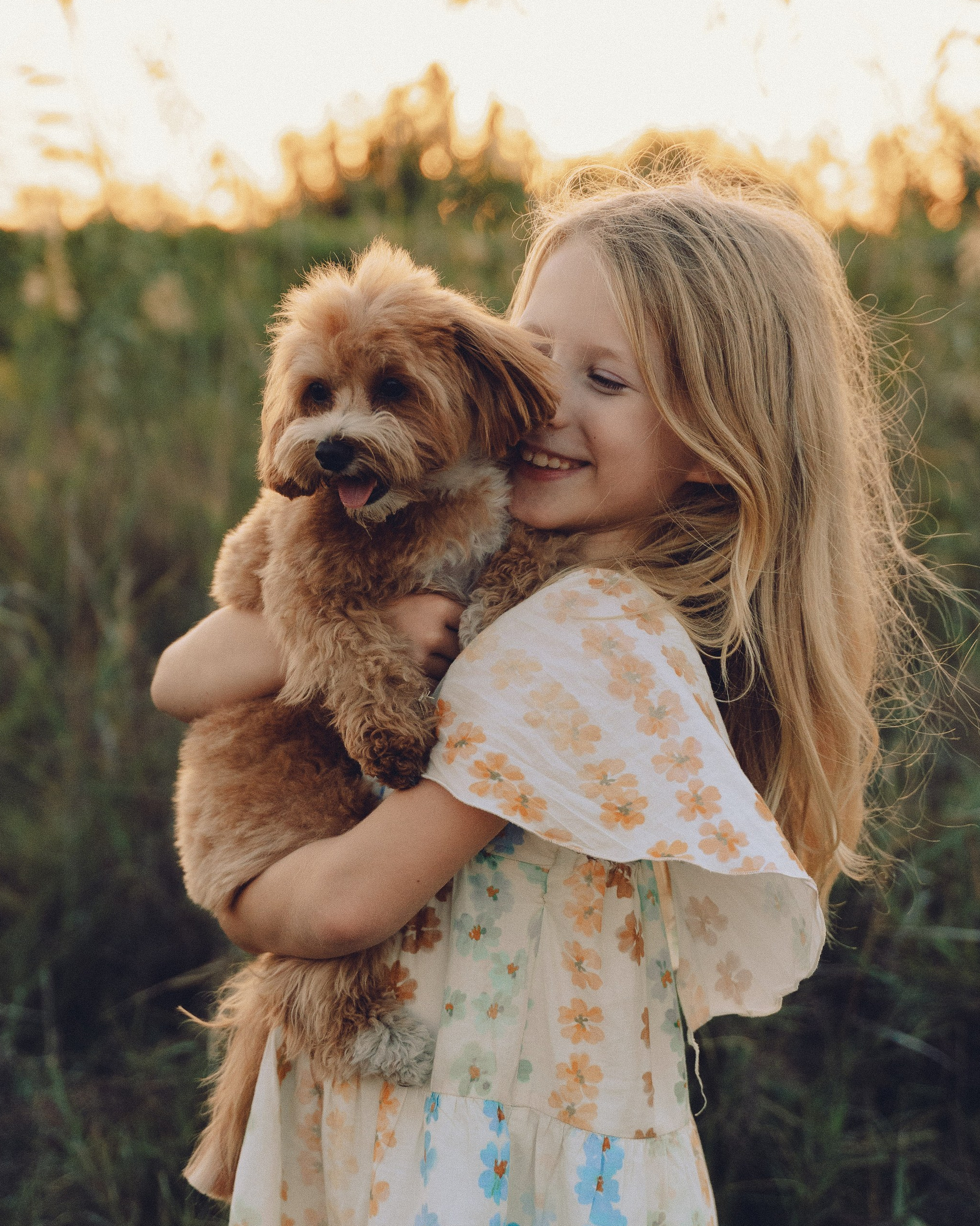 Услуги. Свадебный и семейный фотограф Ирина Чернова