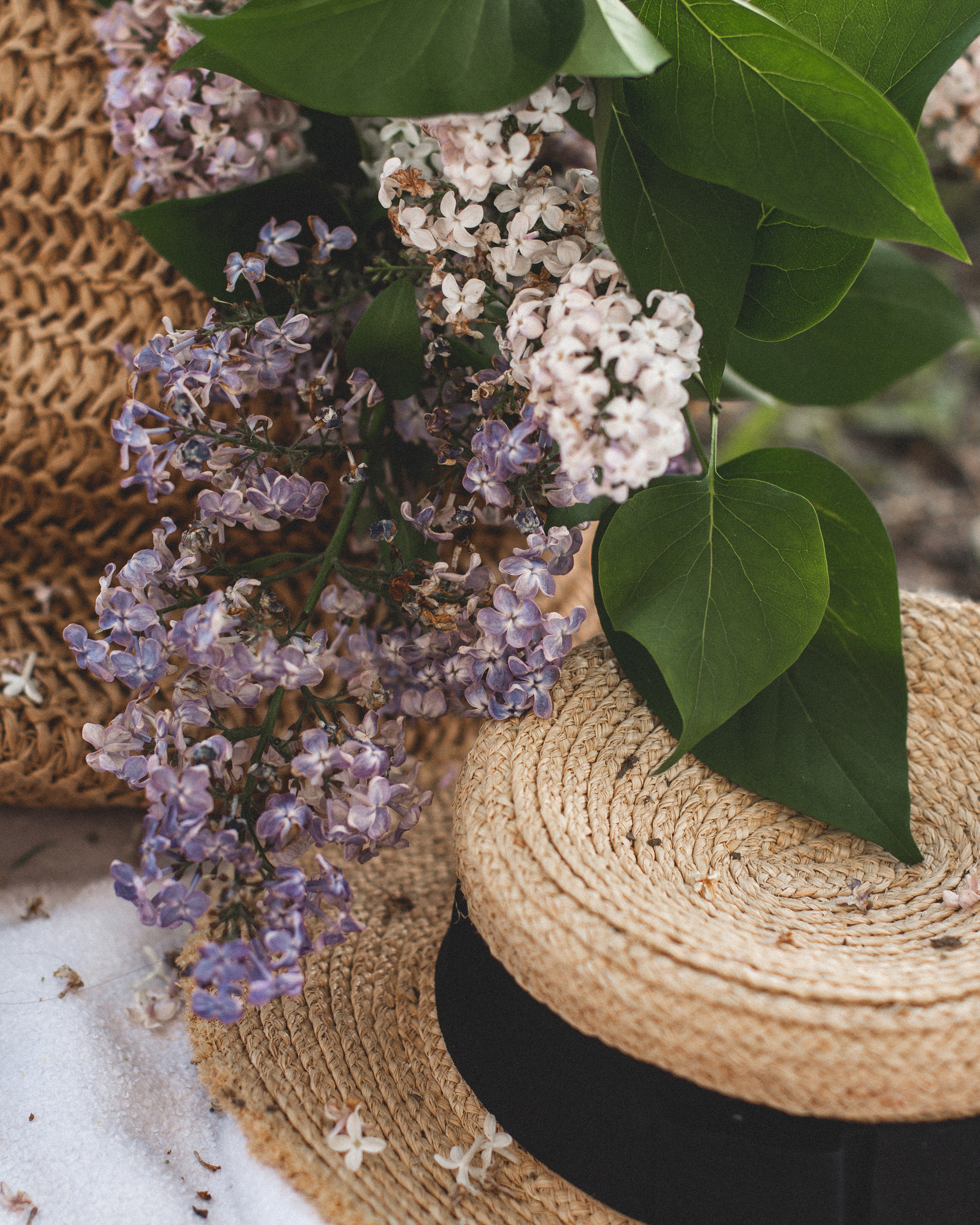 Цветение. Света Полетаева Москва