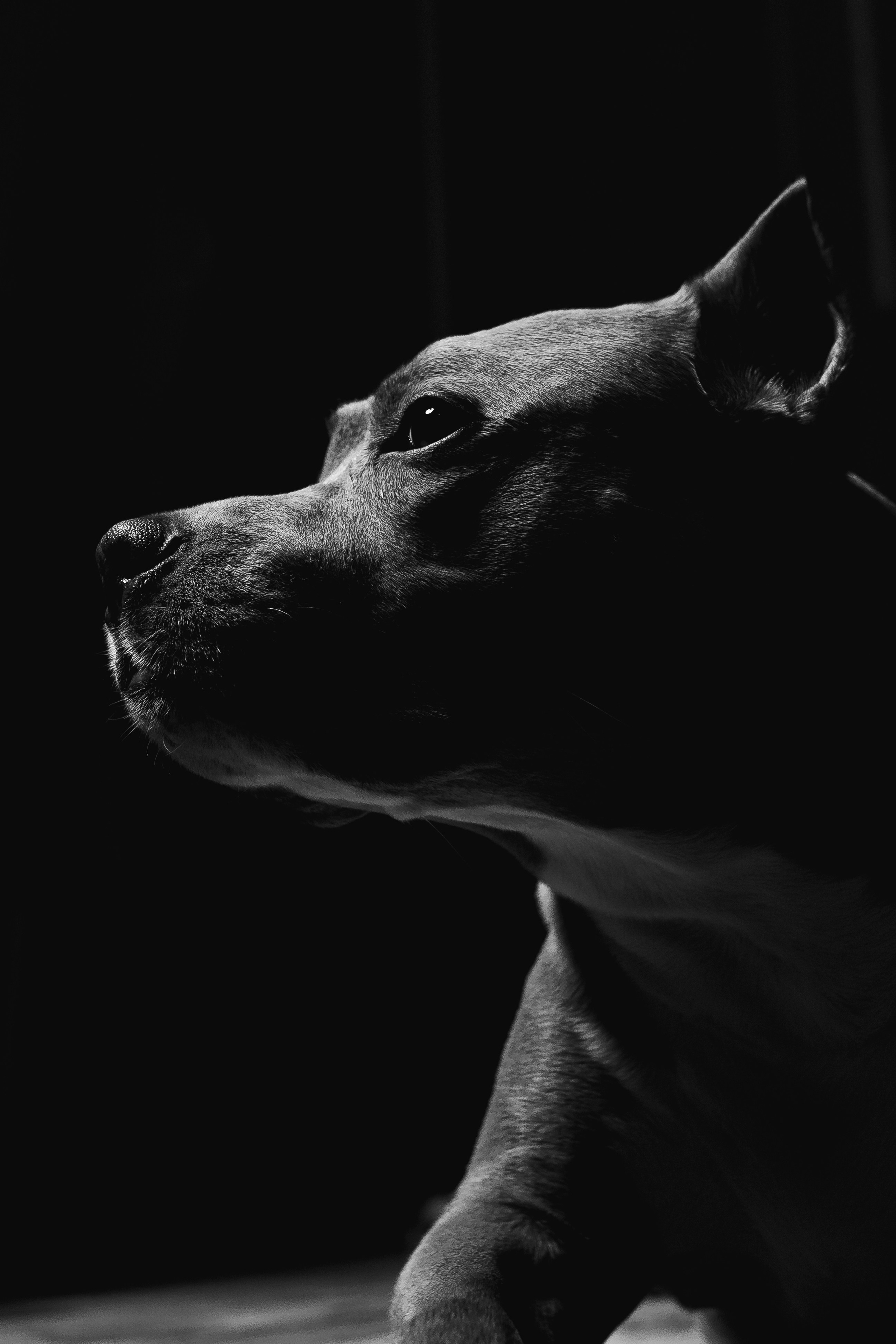 Фотограф Каримов Виктор