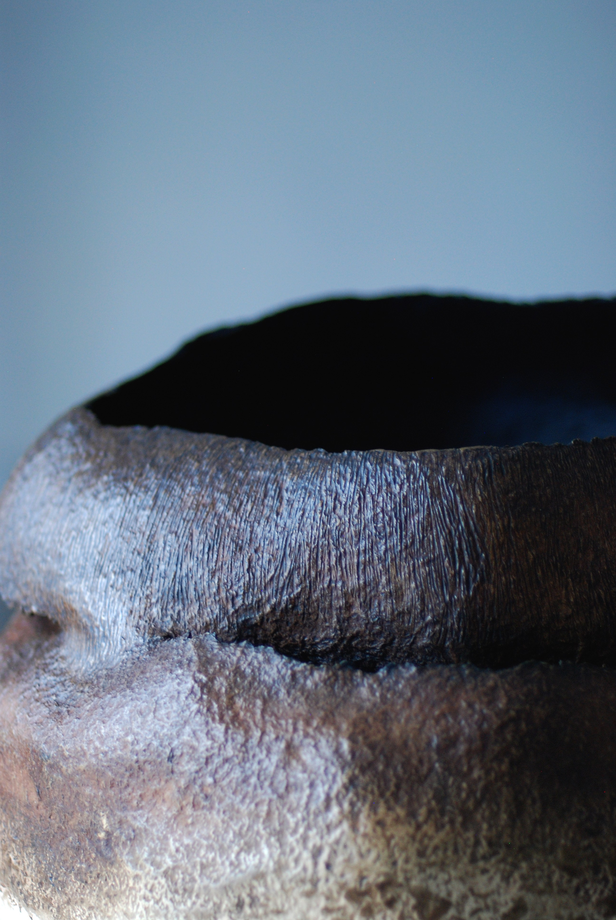 Метаморфозы 3. ЕЛЕНА МЕШКОВА мультидисциплинарный художник