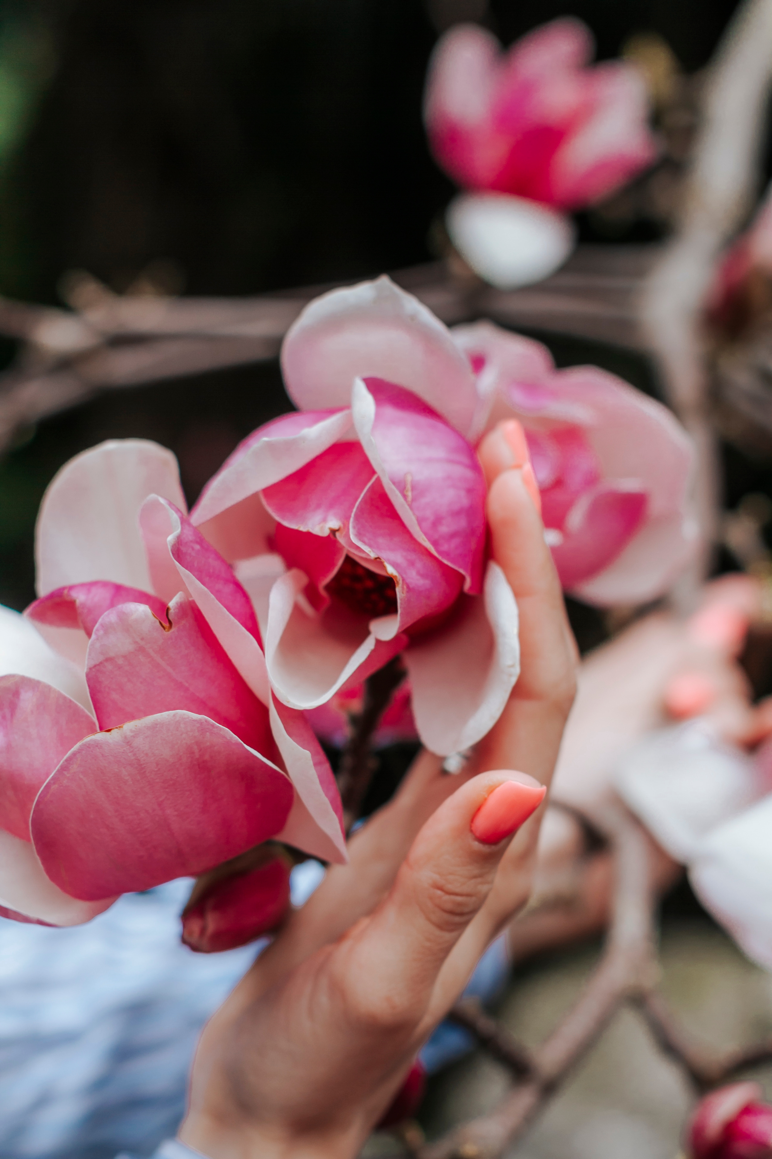 Абхазия (март 2021)